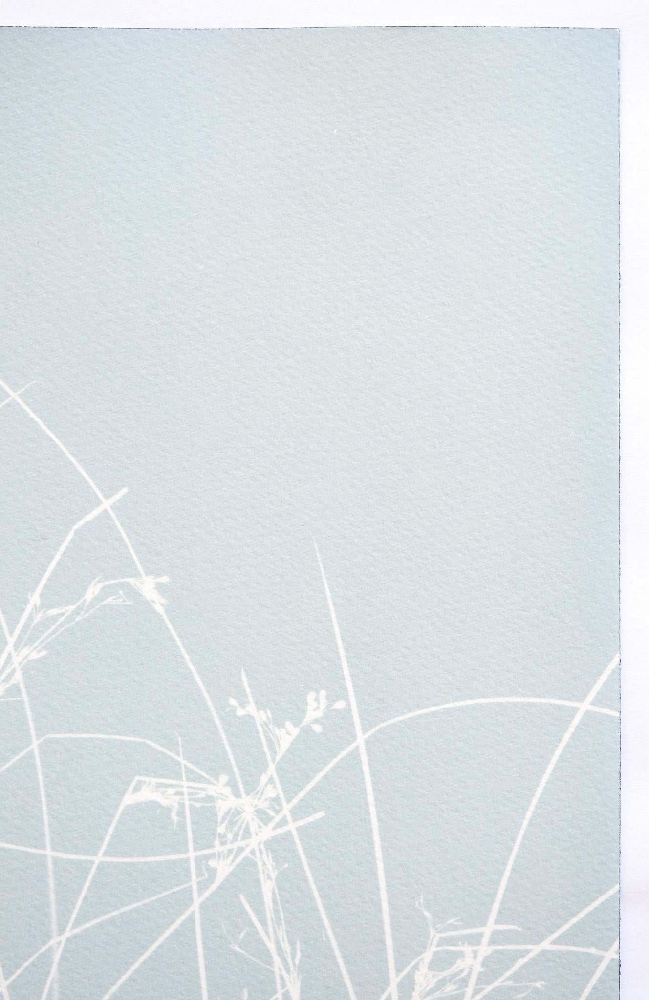 Cloudy Day Marsh Grass II (hand-printed botanical cyanotype, 24 x 18 inches) For Sale 2