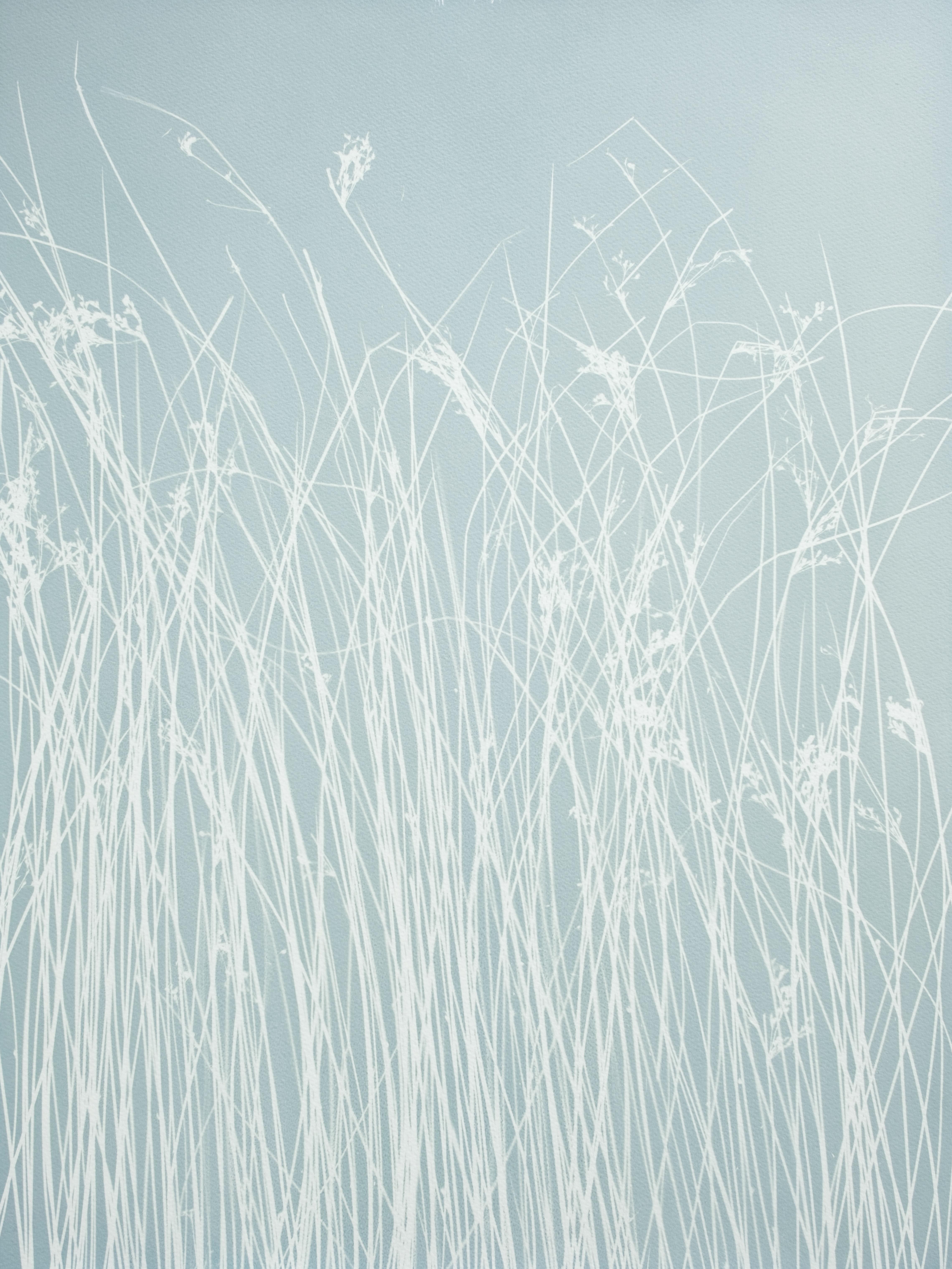 Cloudy Day Marsh Grass II (handgedruckte botanische Cyanotypie, 24 x 18 Zoll)