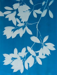 Evening Shade Triptych (3 hand-printed botanical cyanotypes, 30 x 22.5 in. each)