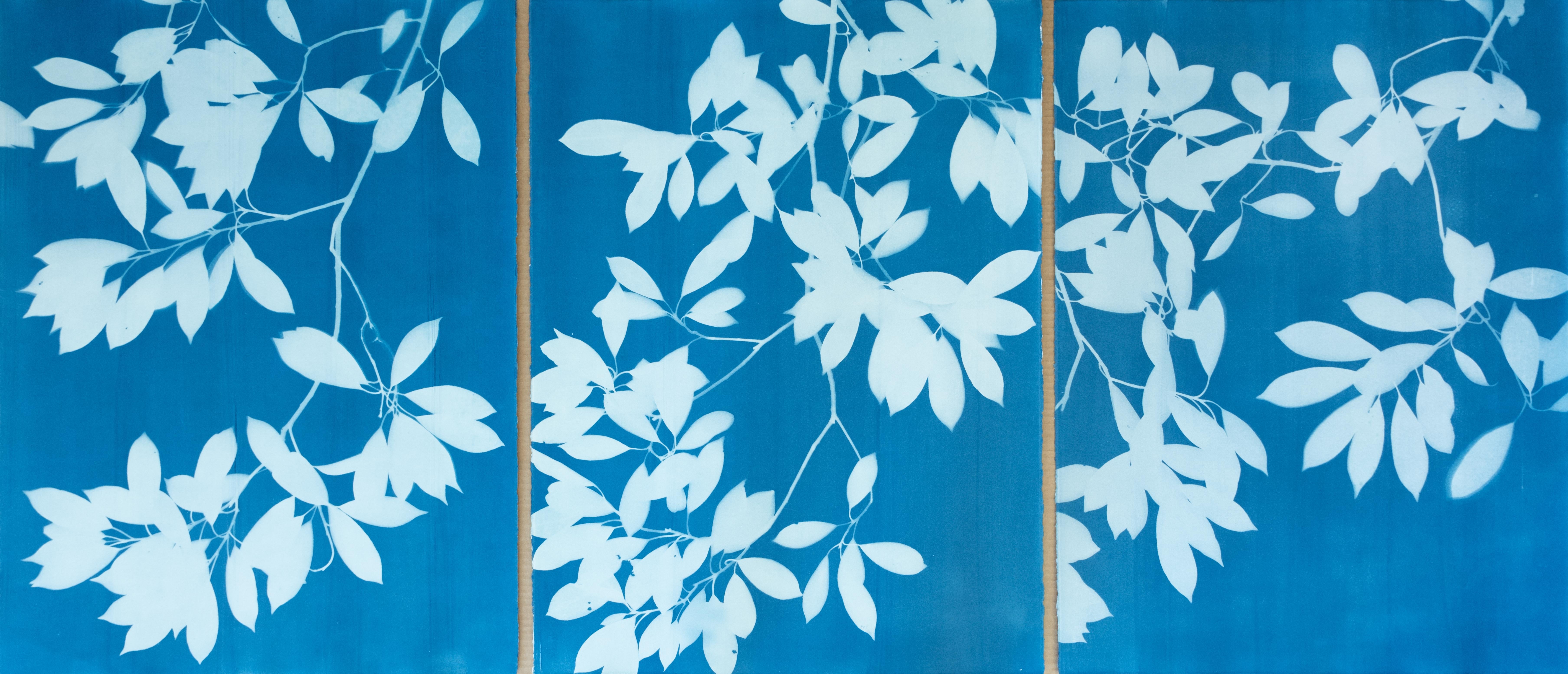 Christine So Still-Life Print - Evening Shade Triptych (3 hand-printed botanical cyanotypes, 30 x 22 in. each)