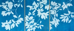 Evening Shade Triptych (3 hand-printed botanical cyanotypes, 30 x 22 in. each)