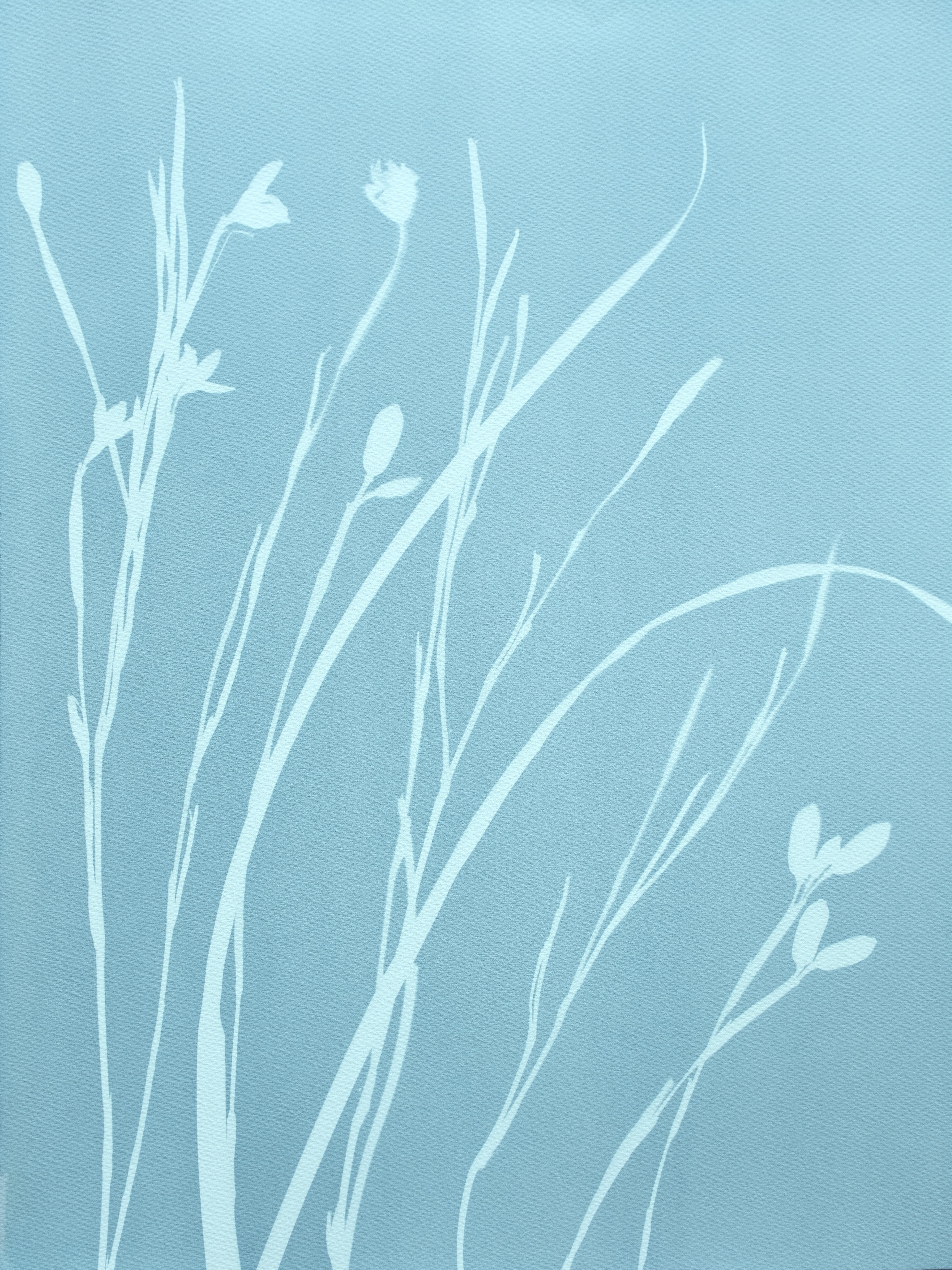 Foggy Iris Diptych (two 24 x 18