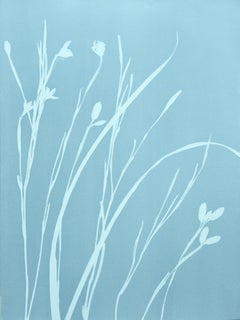 Tríptico Iris Nublado (tres cianotipos de 24 x 18")