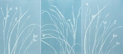 Foggy Iris Triptych (three 24 x 18" cyanotypes)