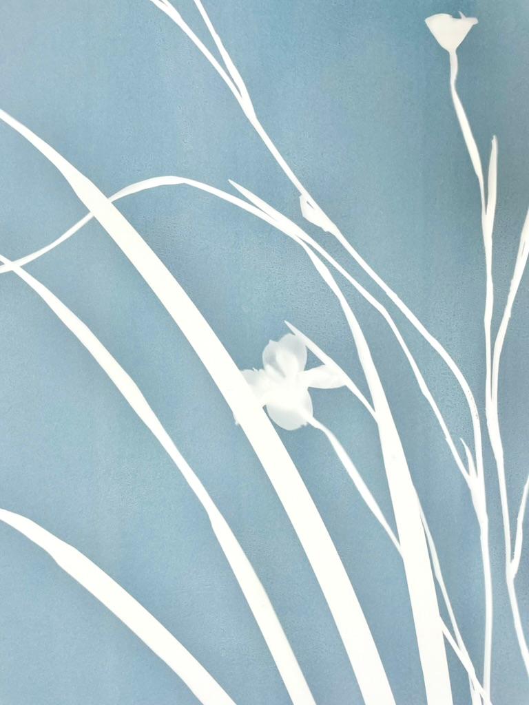Gray Iris (cyanotype, 24 x 18 inches) - Contemporary Print by Christine So
