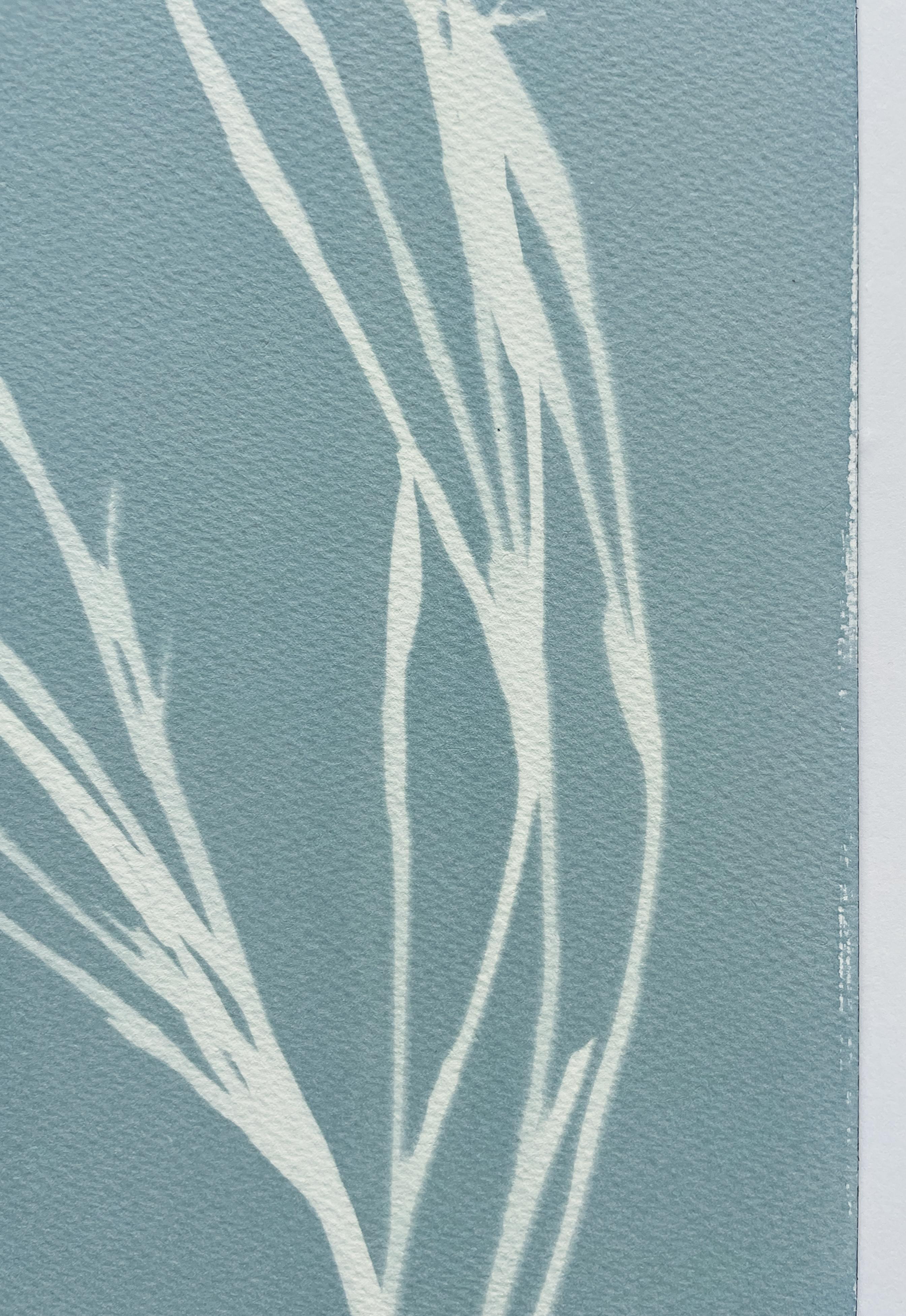 Gray Iris III (cyanotype, 24 x 18 pouces) - Contemporain Photograph par Christine So