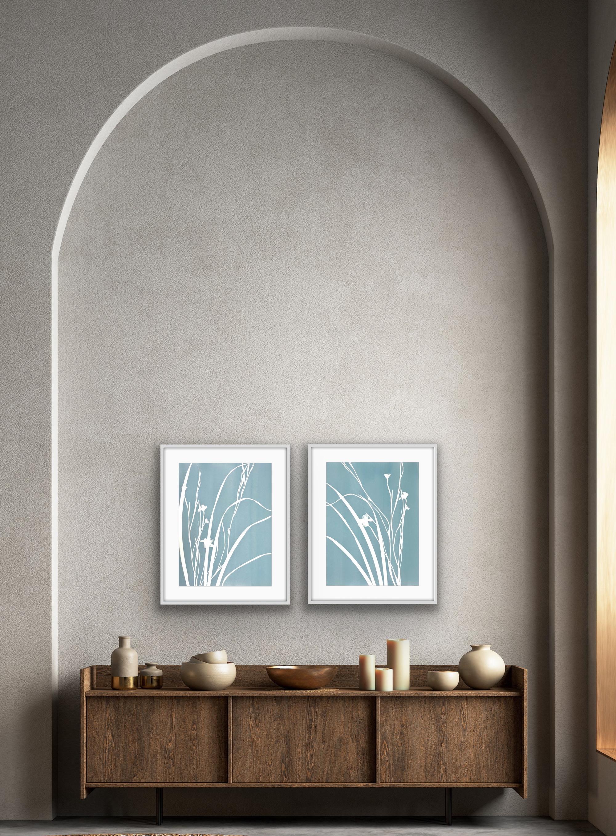 Gray Iris III (cyanotype, 24 x 18 pouces) en vente 1