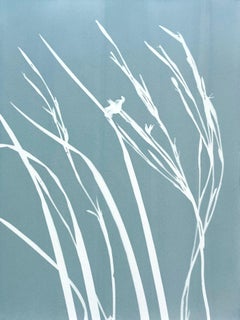 Graue Iris III (Cyanotypie, 24 x 18 Zoll)