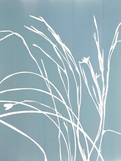 Graue Iris V (Cyanotypie, 24 x 18 Zoll)
