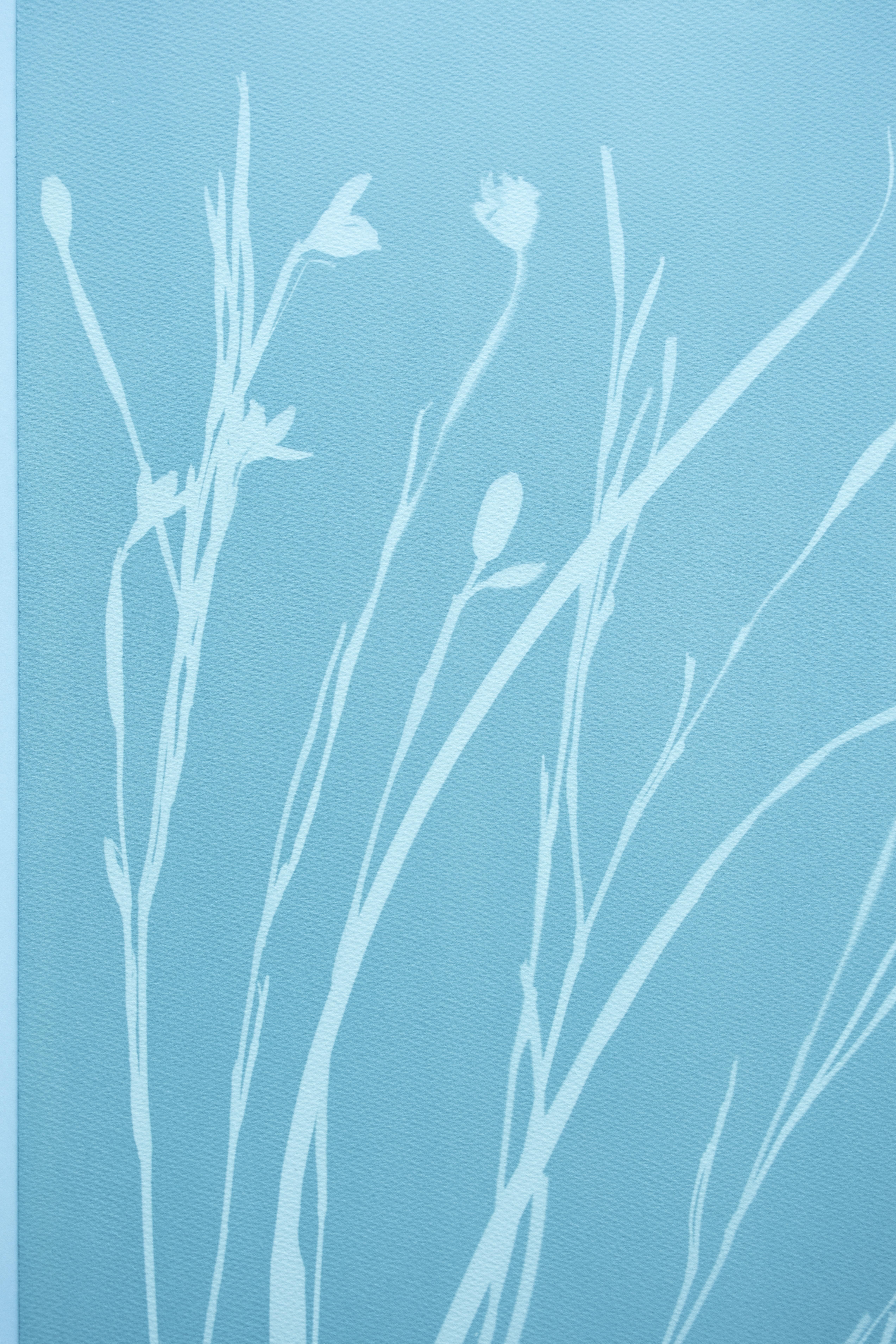 Gray Iris VII (cyanotype, 24 x 18 inches) - Photograph by Christine So