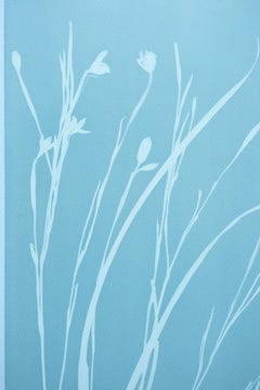 Graue Iris VII (Cyanotypie, 24 x 18 Zoll)