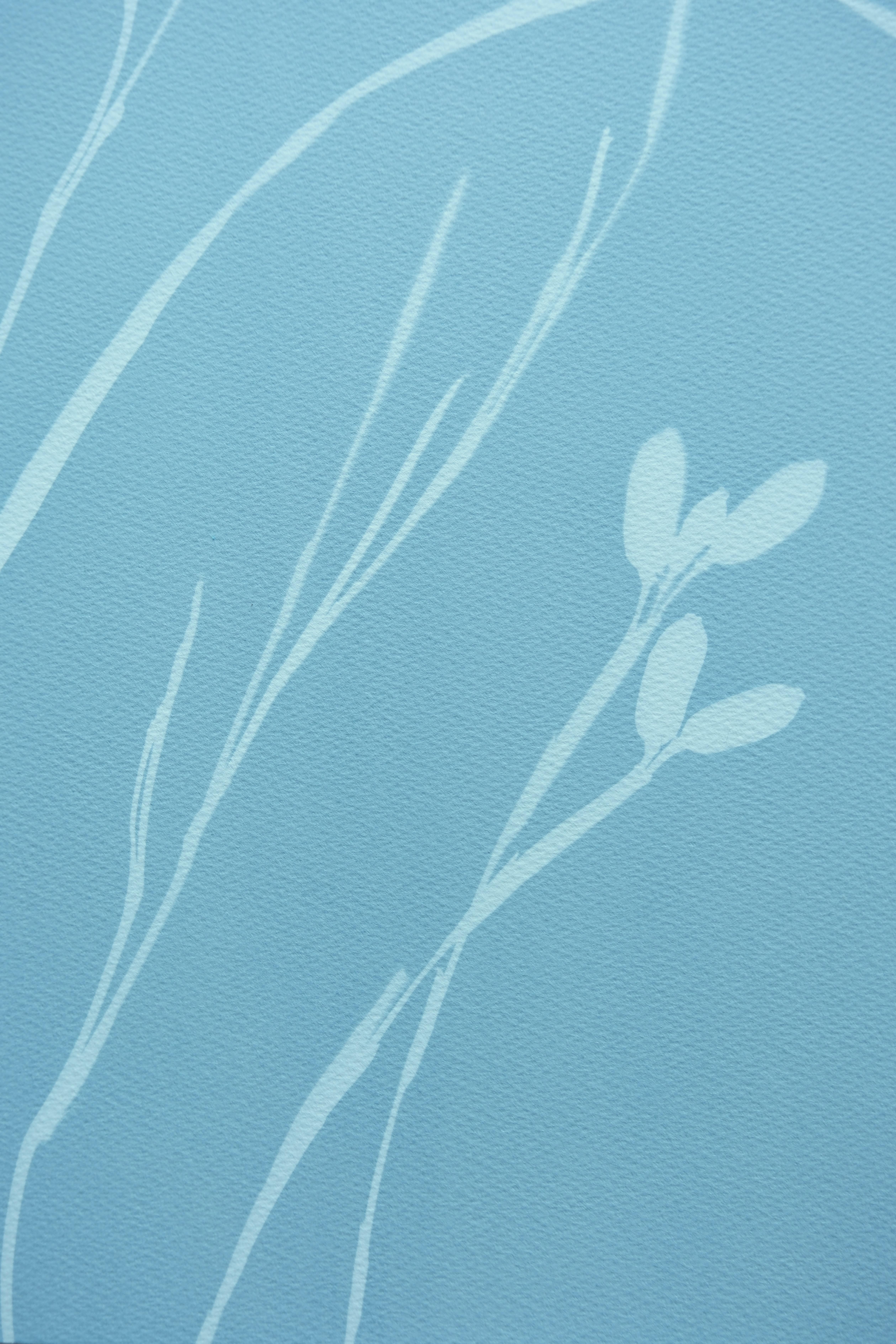Gray Iris VII (cyanotype, 24 x 18 inches) - Contemporary Photograph by Christine So