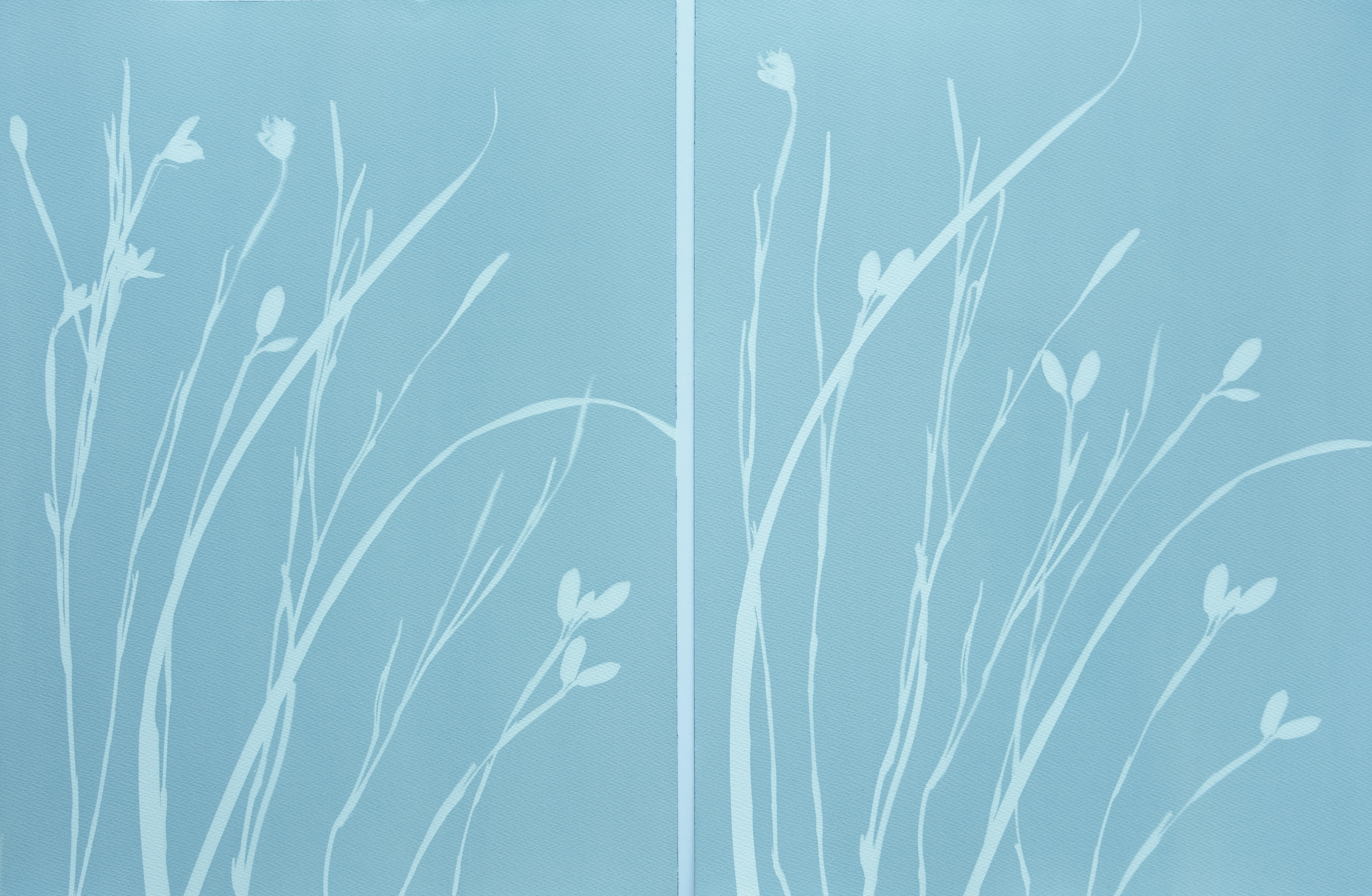 Gray Iris VIII (cyanotype, 24 x 18 inches) - Print by Christine So