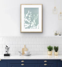 Amapolas nocturnas brumosas  (Cianotipia de 20 x 14 pulgadas)