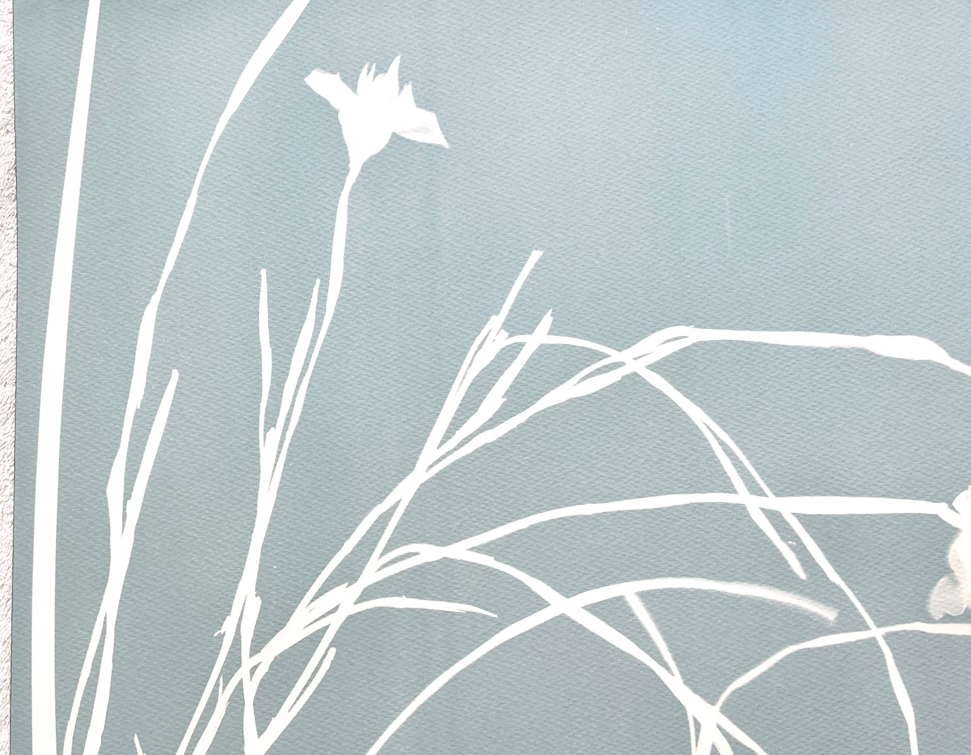 Misty Iris II (hand-printed botanical cyanotype, 24 x 18 inches) - Contemporary Photograph by Christine So