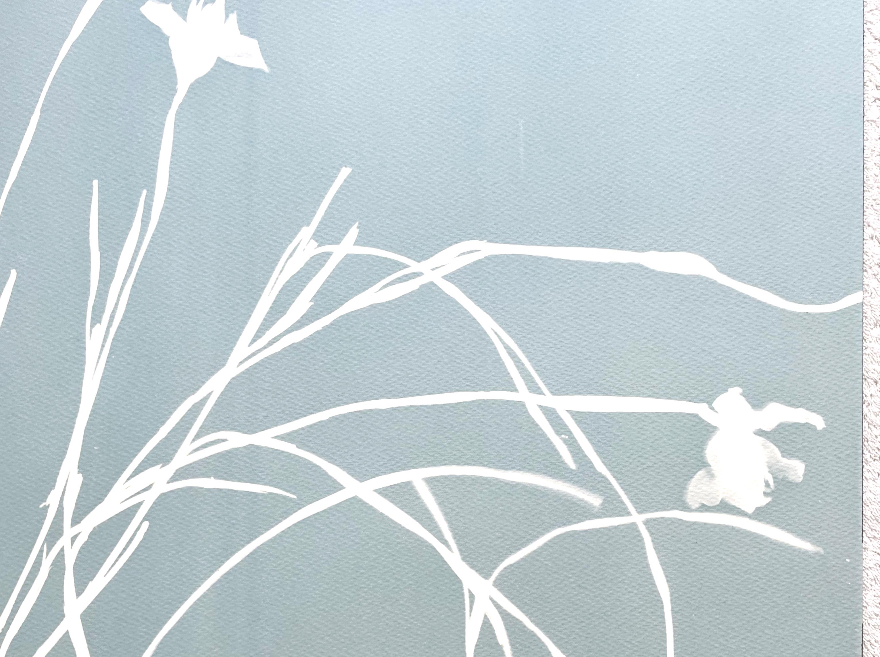 Misty Iris II (hand-printed botanical cyanotype, 24 x 18 inches) - Gray Still-Life Photograph by Christine So