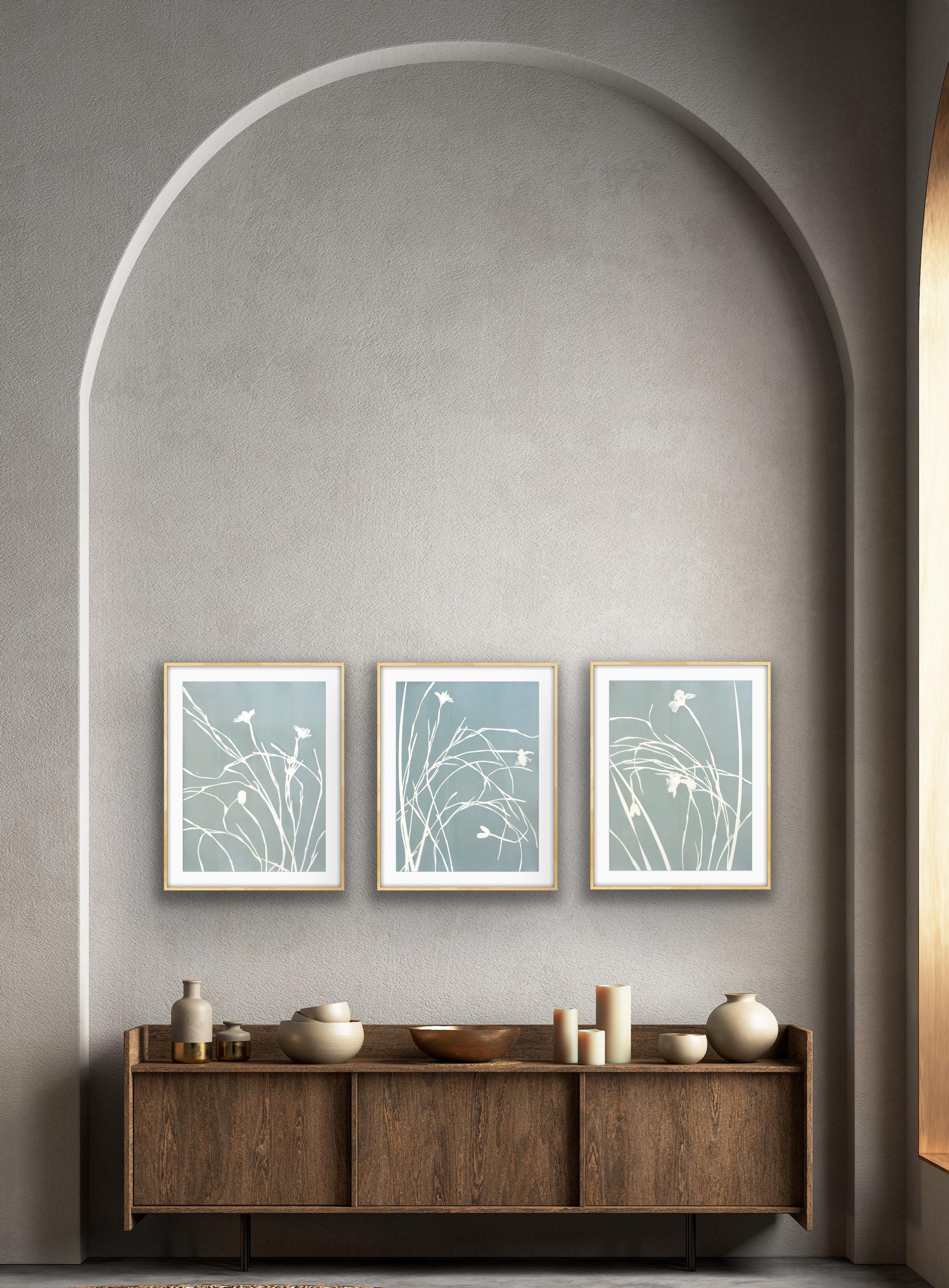 Misty Iris Triptych (3 hand-printed botanical cyanotypes, 24 x 18 in. each) - Print by Christine So