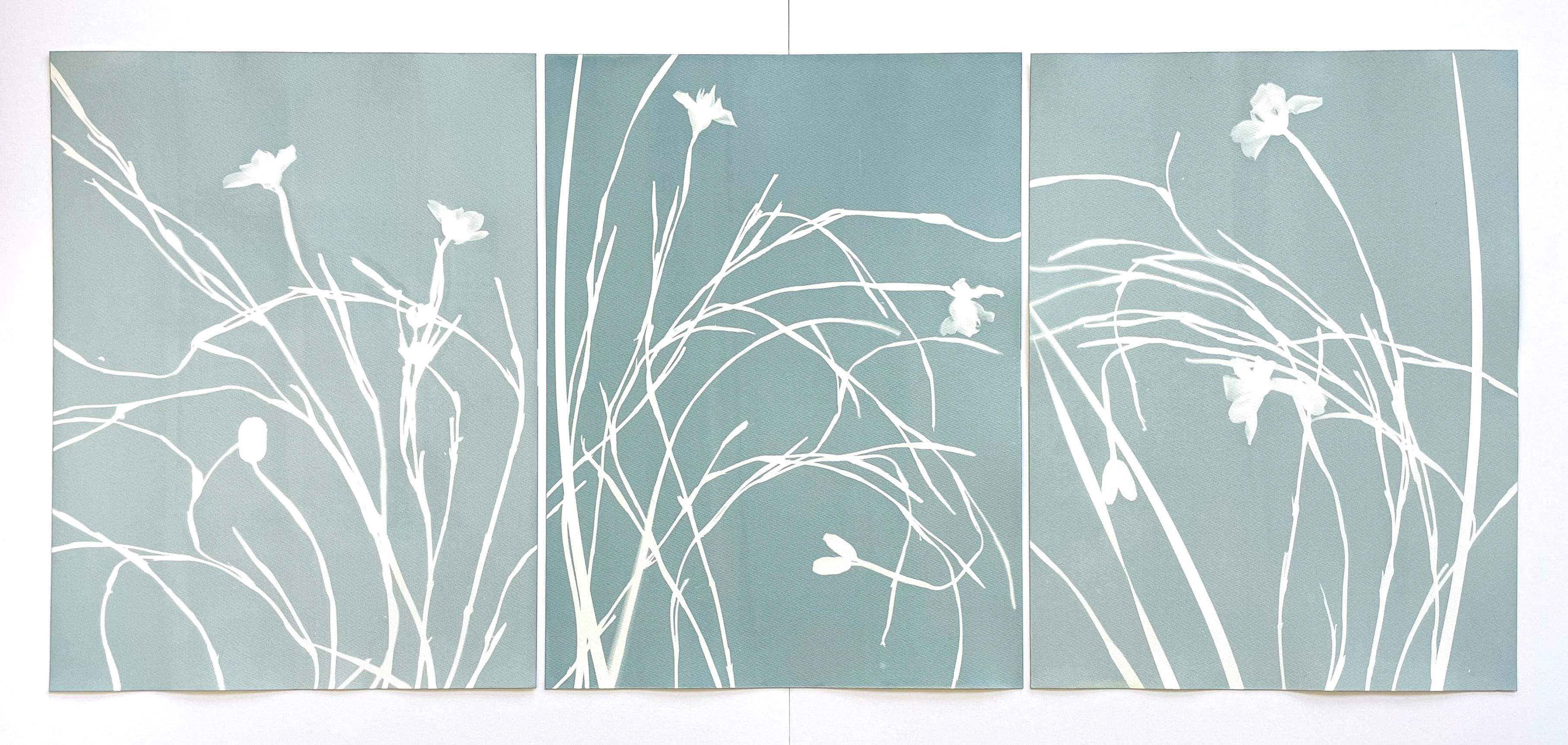 Misty Iris Triptych (3 hand-printed botanical cyanotypes, 24 x 18 in. each) 2