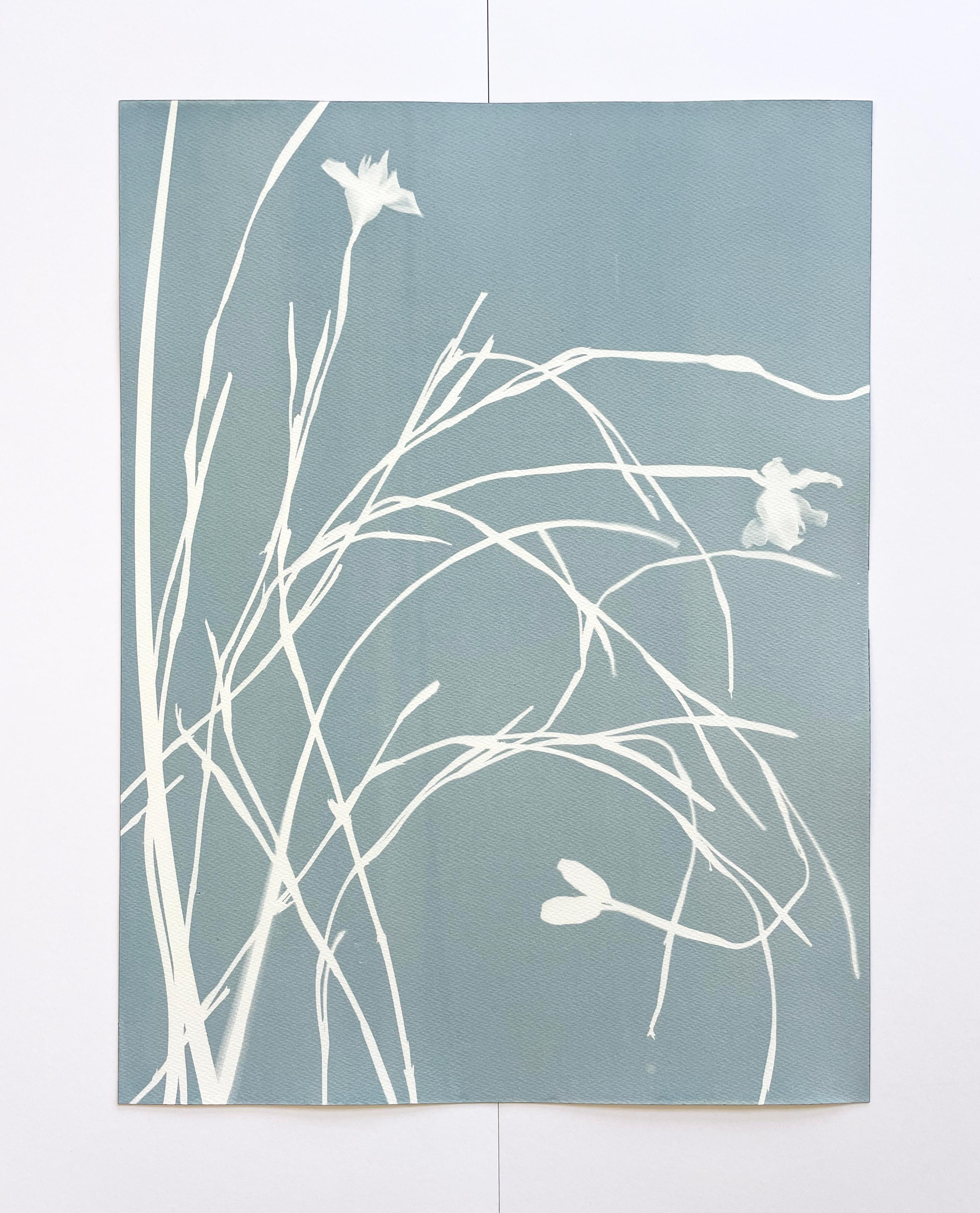 Misty Iris Triptych (3 hand-printed botanical cyanotypes, 24 x 18 in. each) 4