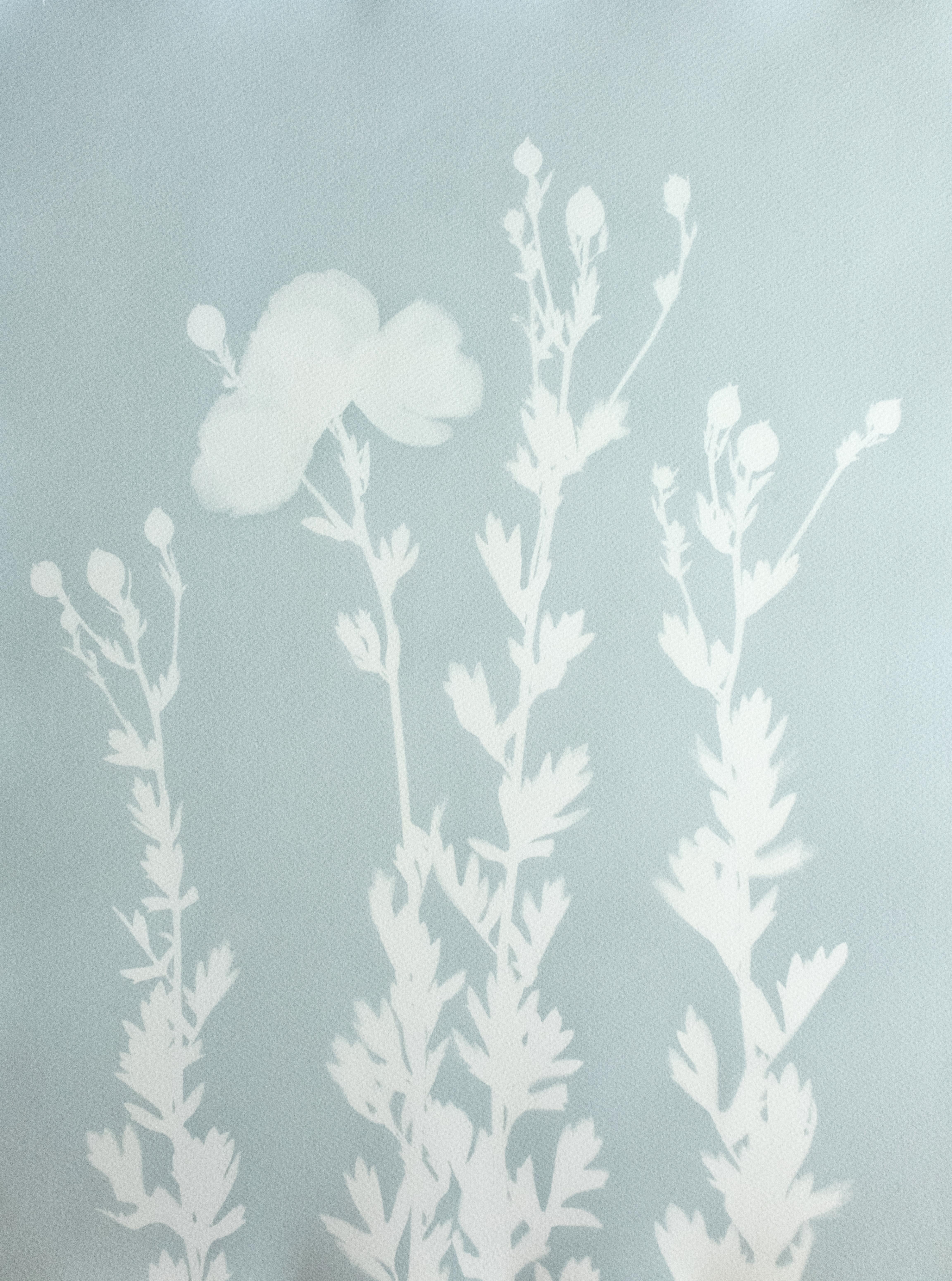 Misty Morning Poppies (hand-printed botanical cyanotype, 24 x 18 inches)