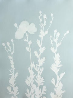 Misty Morning Poppies (handgedruckte botanische Cyanotypie, 24 x 18 Zoll)