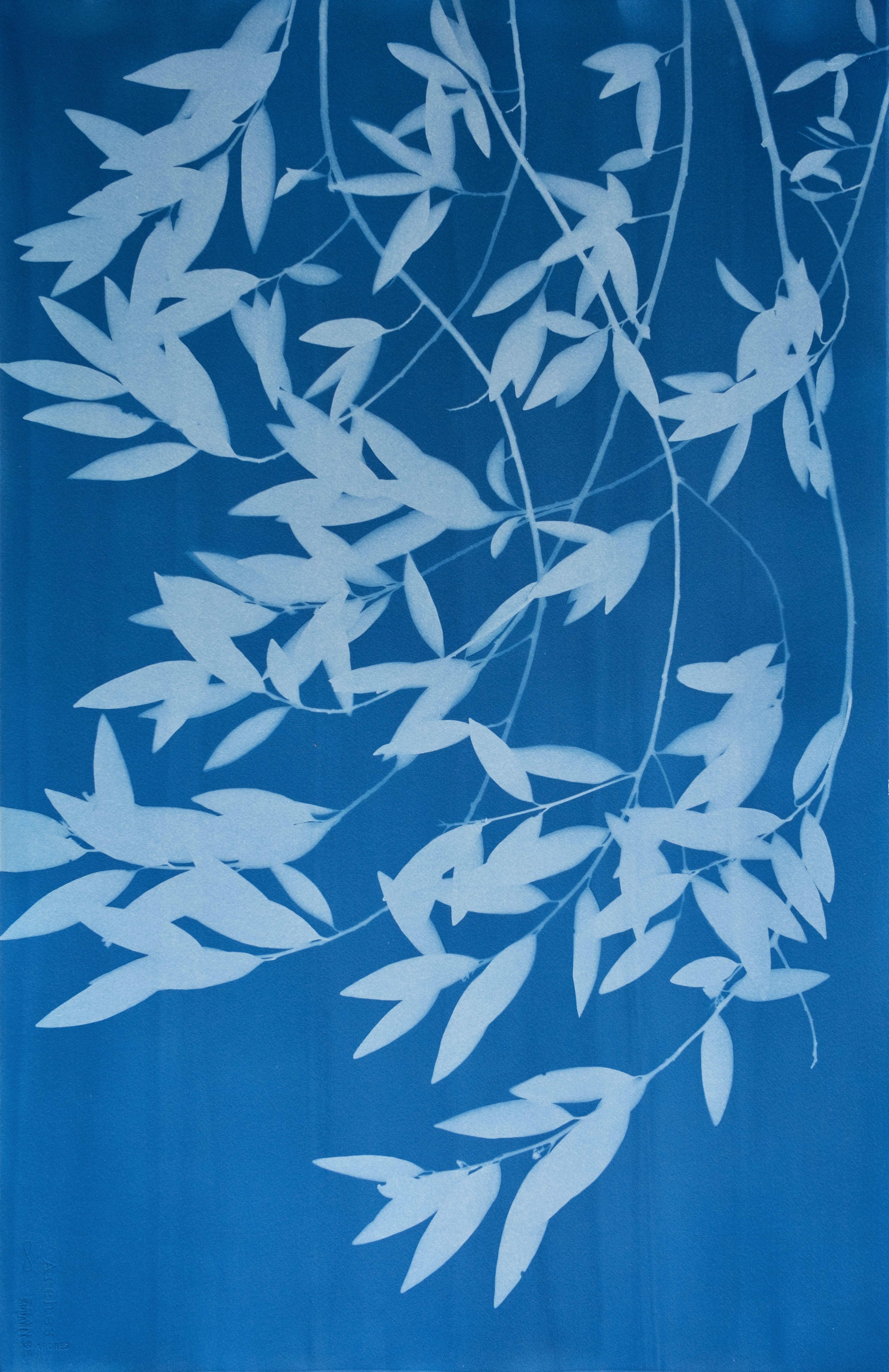 Night Laurel Diptych (Hand-printed cyanotype, 40 x 52 inches combined) - Photograph by Christine So
