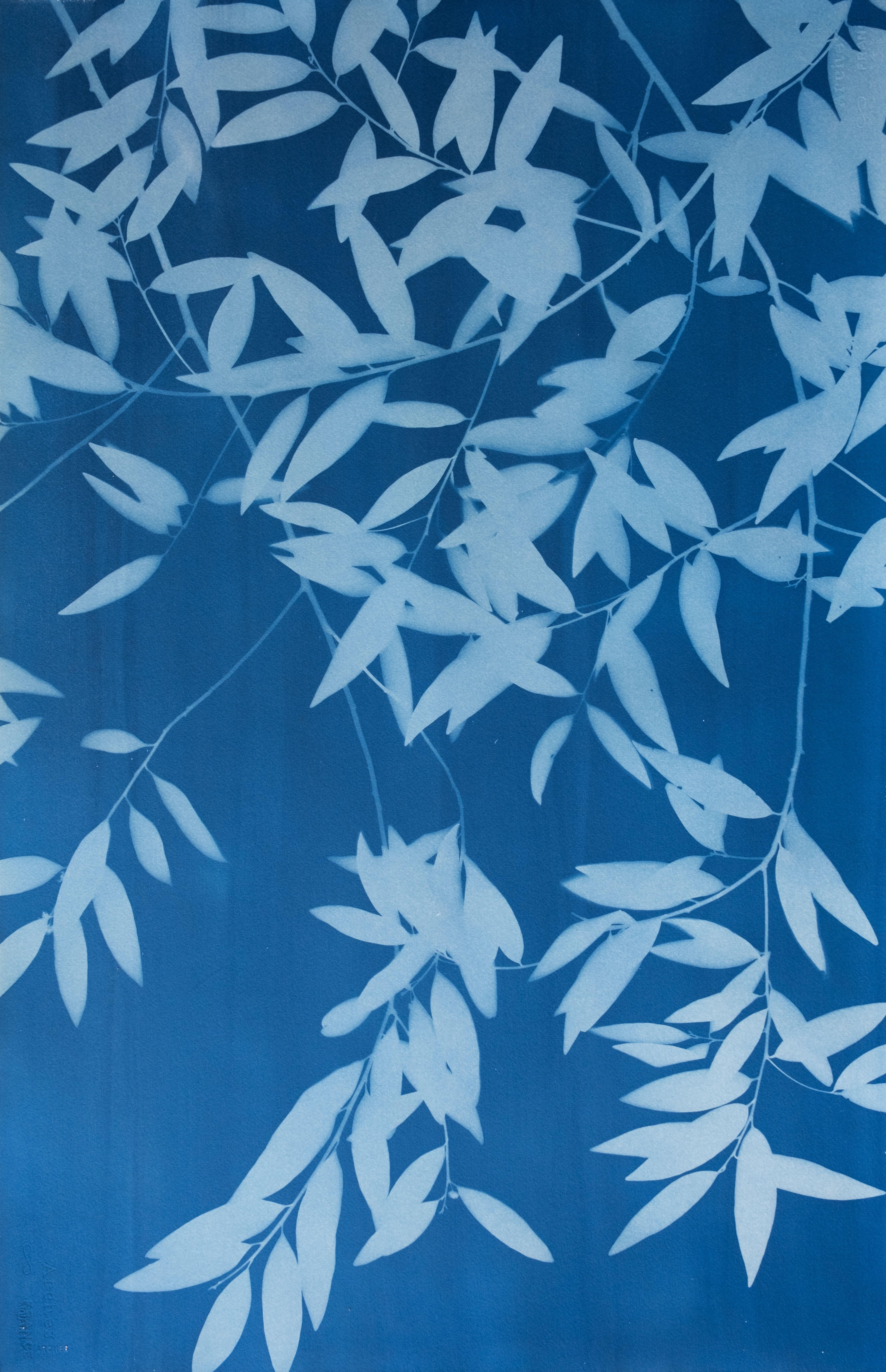 Night Laurel Diptych (Hand-printed cyanotype, 40 x 52 inches combined) - Contemporary Photograph by Christine So