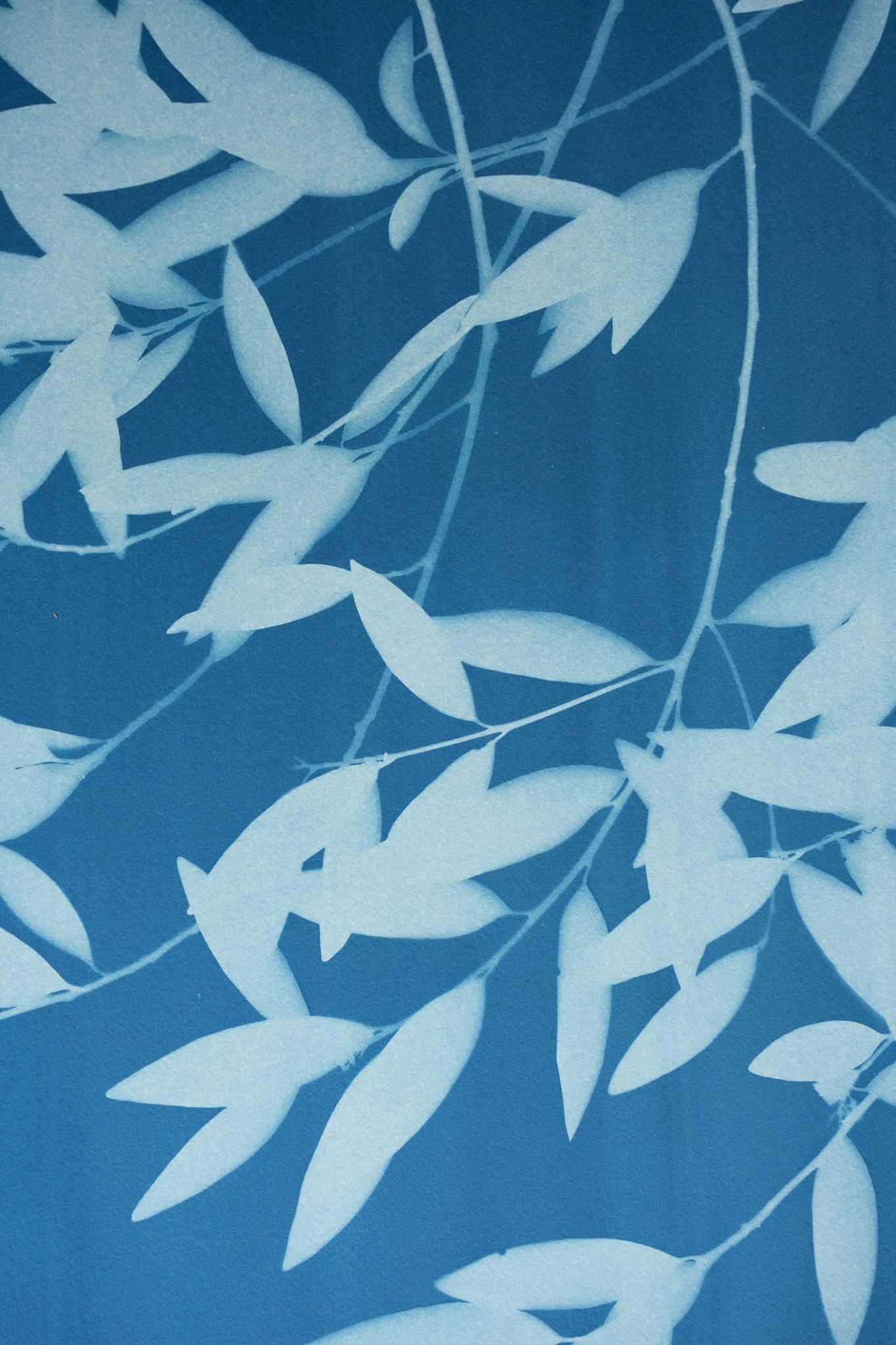 Night Laurel Diptych (Hand-printed cyanotype, 40 x 52 inches combined) - Blue Still-Life Photograph by Christine So