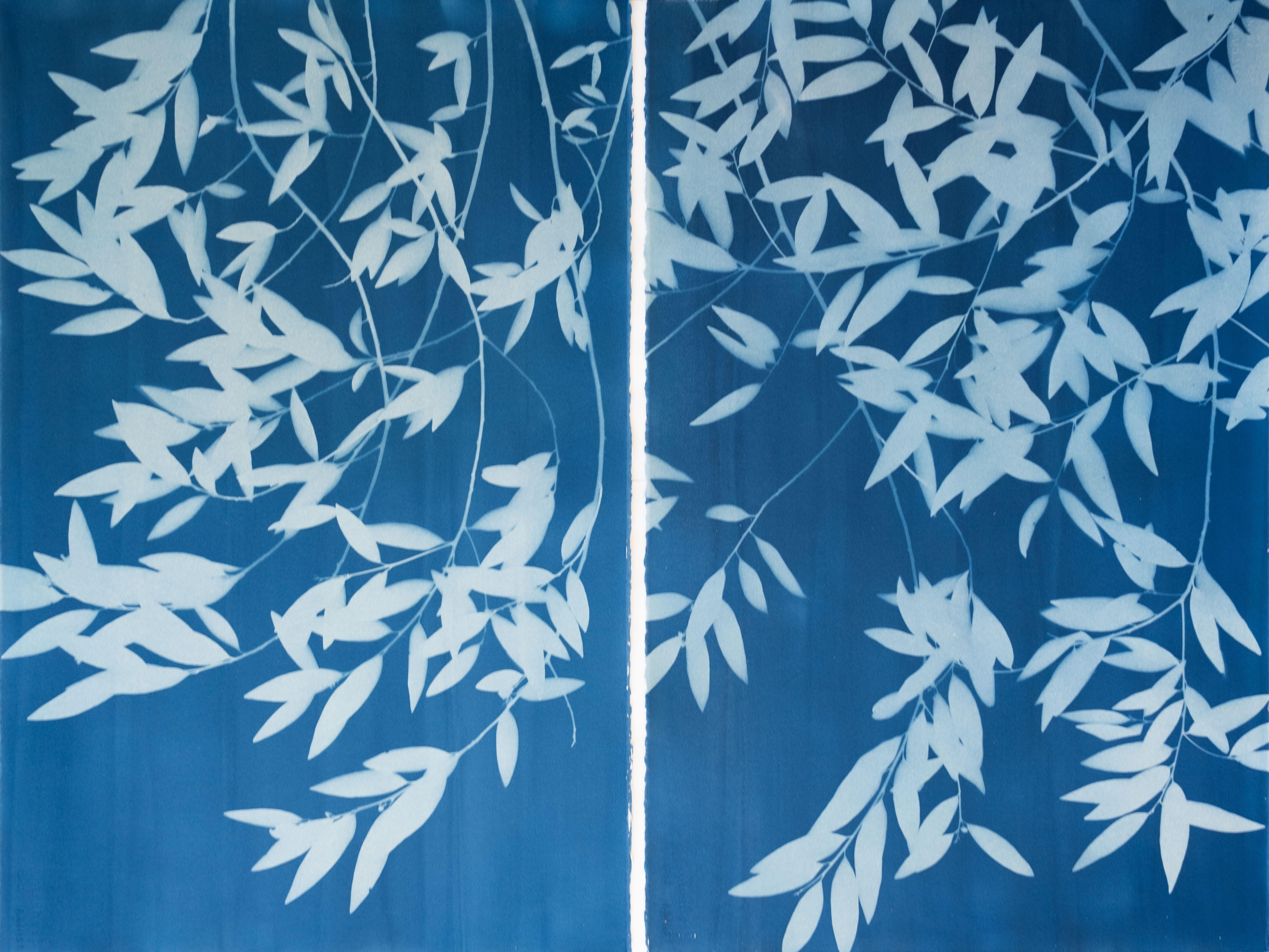 Night Laurel Diptych (Hand-printed cyanotype, 40 x 52 inches combined)