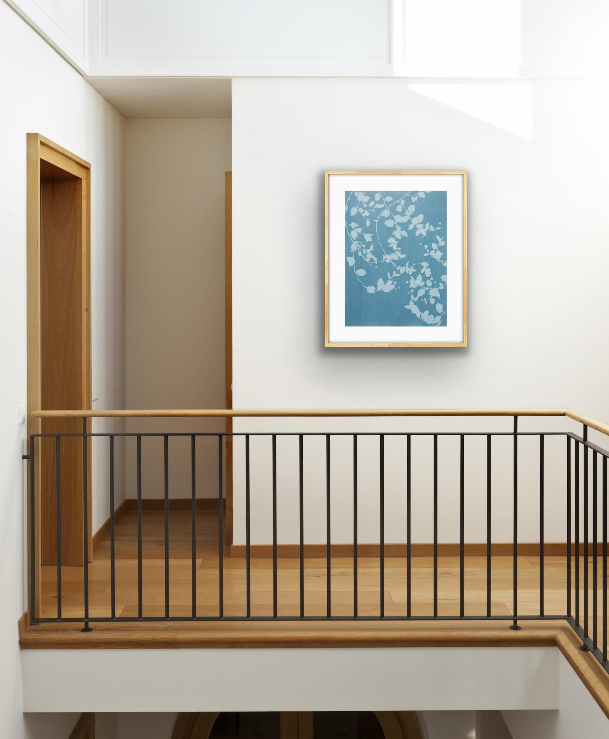 Silberne Reben II (24 x 18 Zoll Cyanotypie) – Photograph von Christine So
