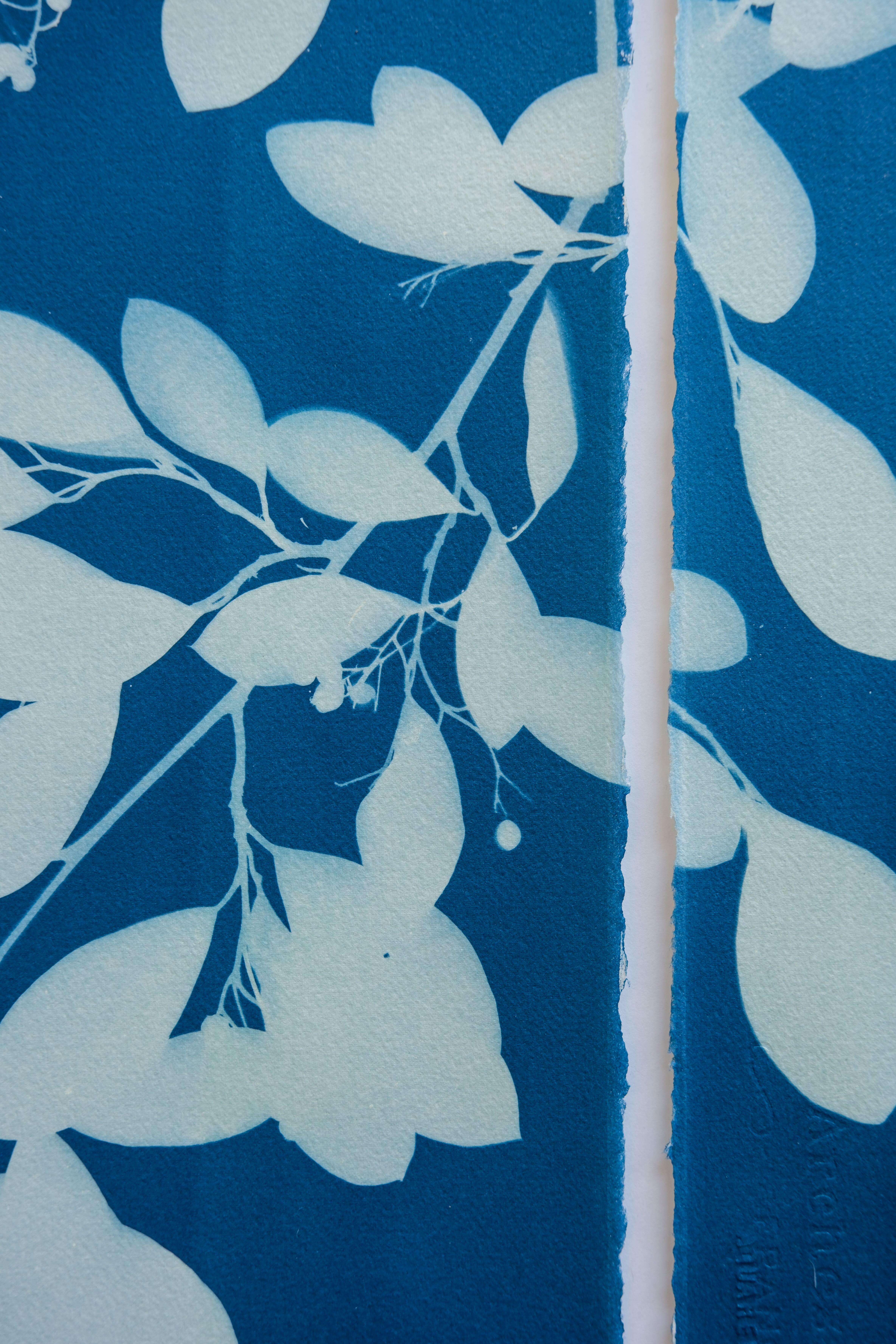 Spring Night Triptych (3 hand-printed botanical cyanotypes, 30 x 22 in. each) For Sale 1