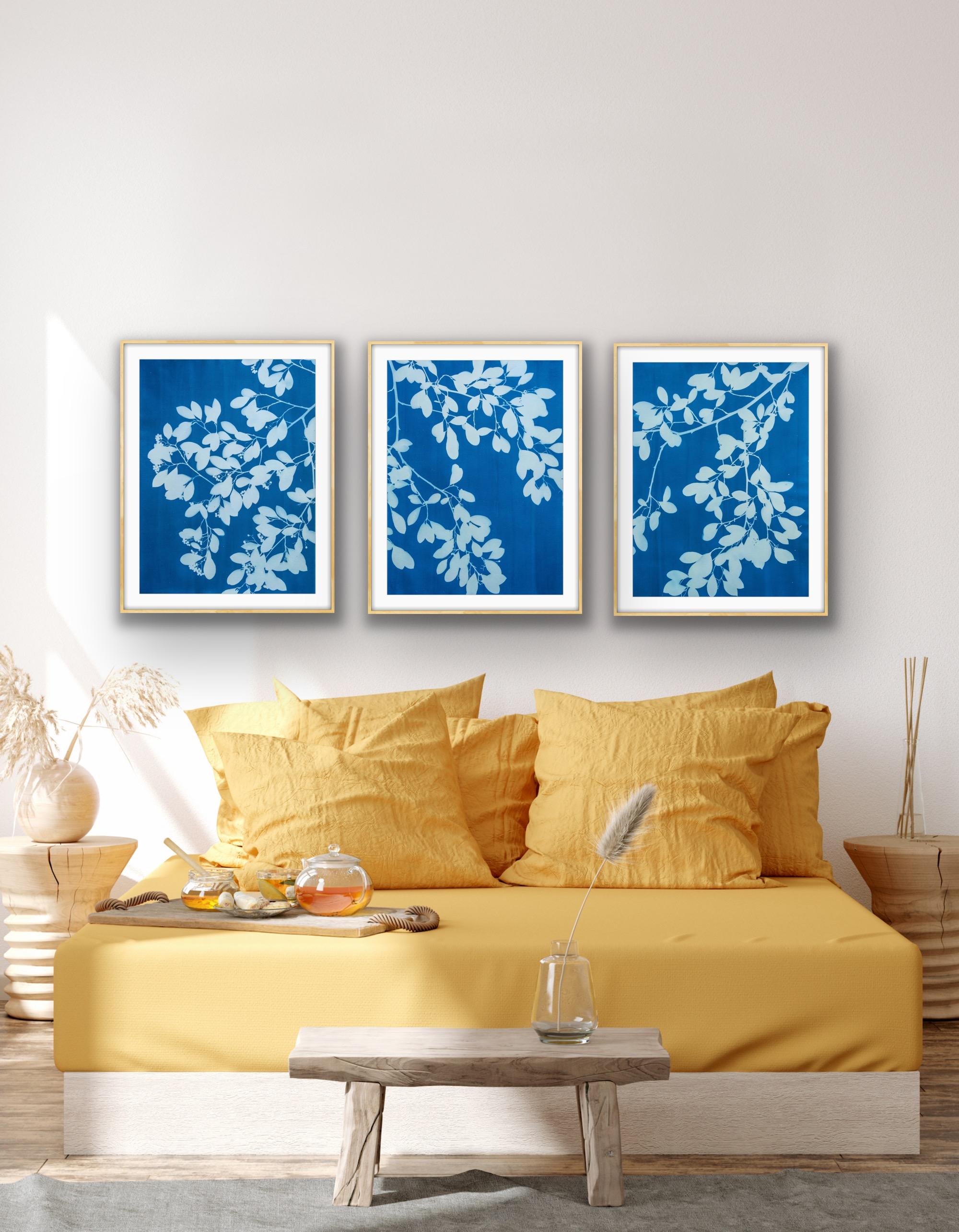 Spring Night Triptych (3 hand-printed botanical cyanotypes, 30 x 22 in. each) For Sale 3