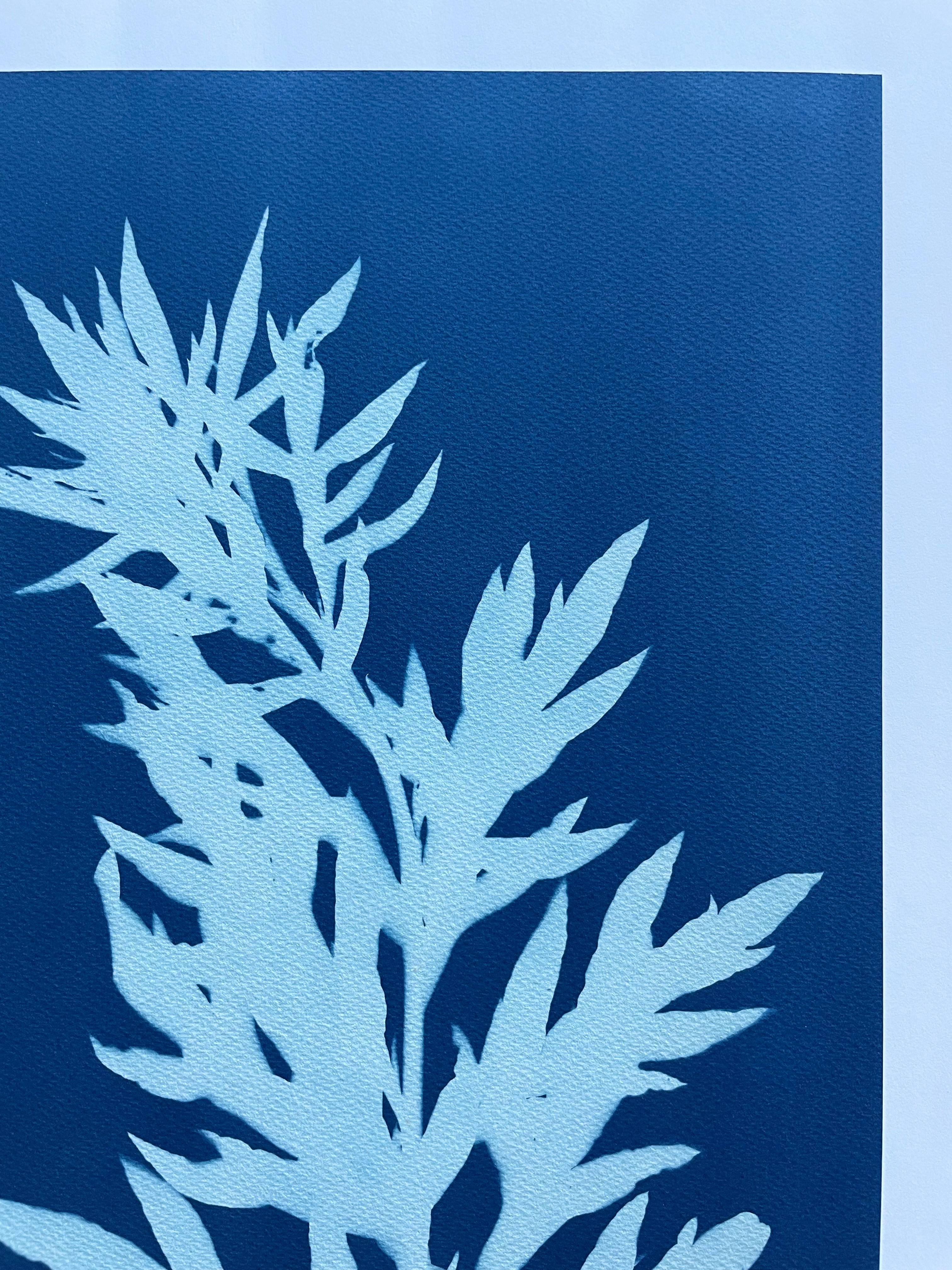 Wild Mugwort (hand-printed botanical cyanotype, 24 x 12 inches) - Contemporary Print by Christine So