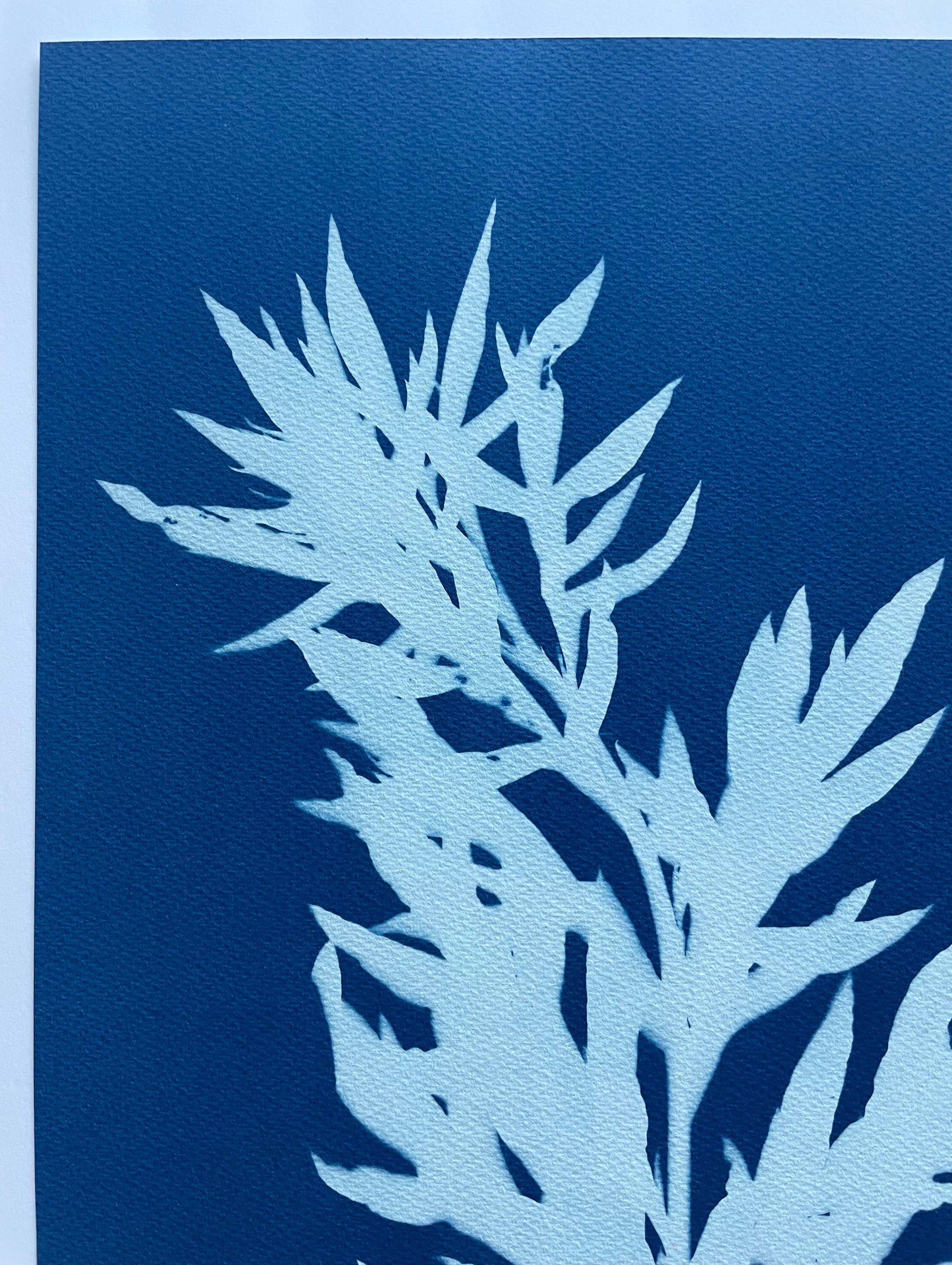 Wild Mugwort (hand-printed botanical cyanotype, 24 x 12 inches) - Blue Still-Life Print by Christine So