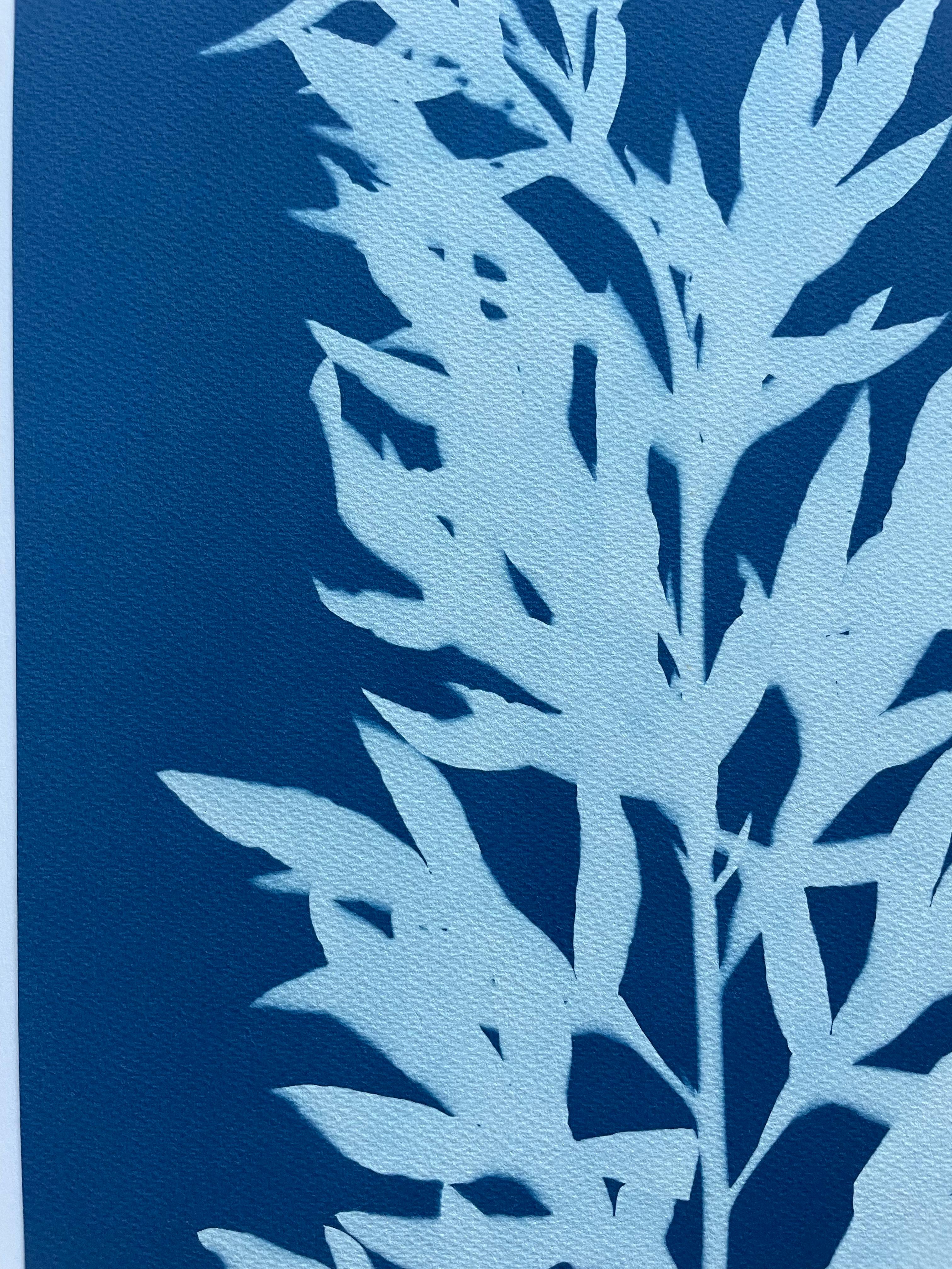 This is the silhouette of wild mugwort (artemisia) or chrysanthemum weed which grows in the woods in northern California. It is a fragrant herb that smells similar to sage.

Though this resembles a block print, it is a cyanotype, a 19th century