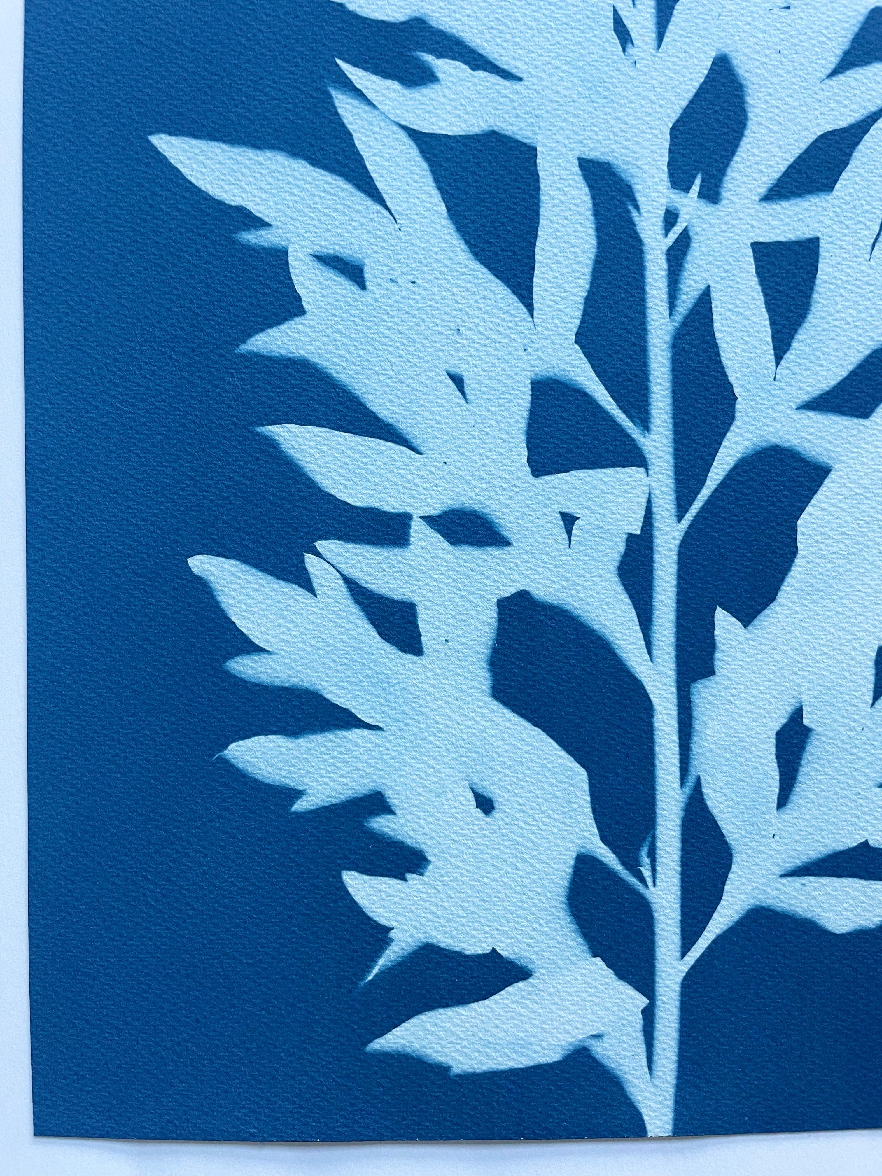 Wild Mugwort (hand-printed botanical cyanotype, 24 x 12 inches) For Sale 1