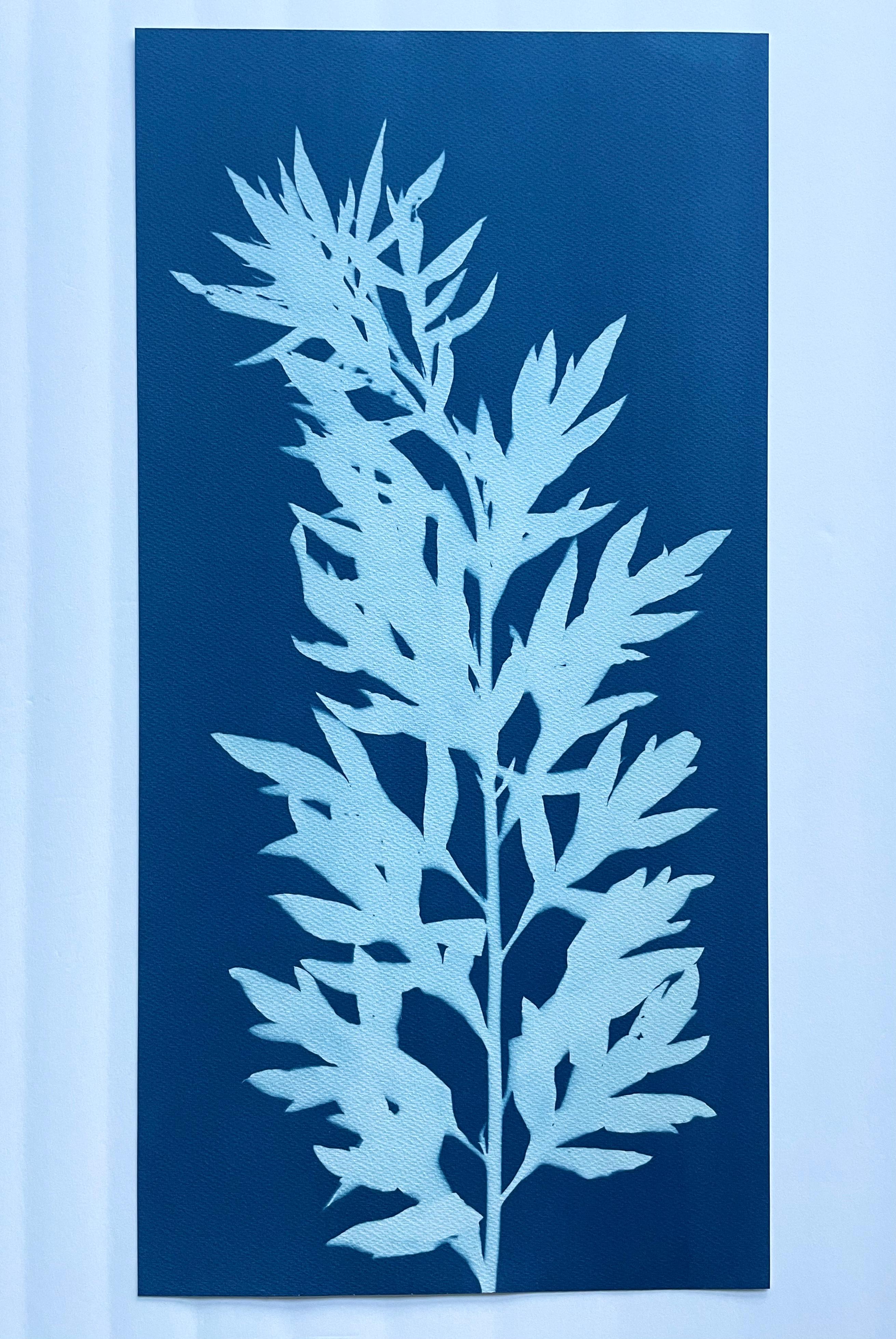 Wild Mugwort (hand-printed botanical cyanotype, 24 x 12 inches) For Sale 2