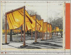The Gates (Project for Central Park New York City) by Christo, 2004