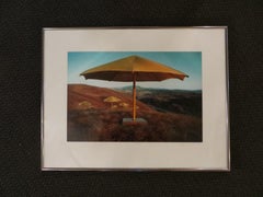 The ambrellas by Christo
