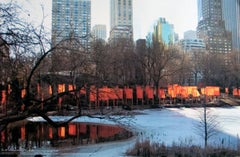 The Gates Project, photo n°27, Central Park, New York