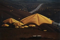 The Umbrellas - Japan - Vintage Offset - 1991