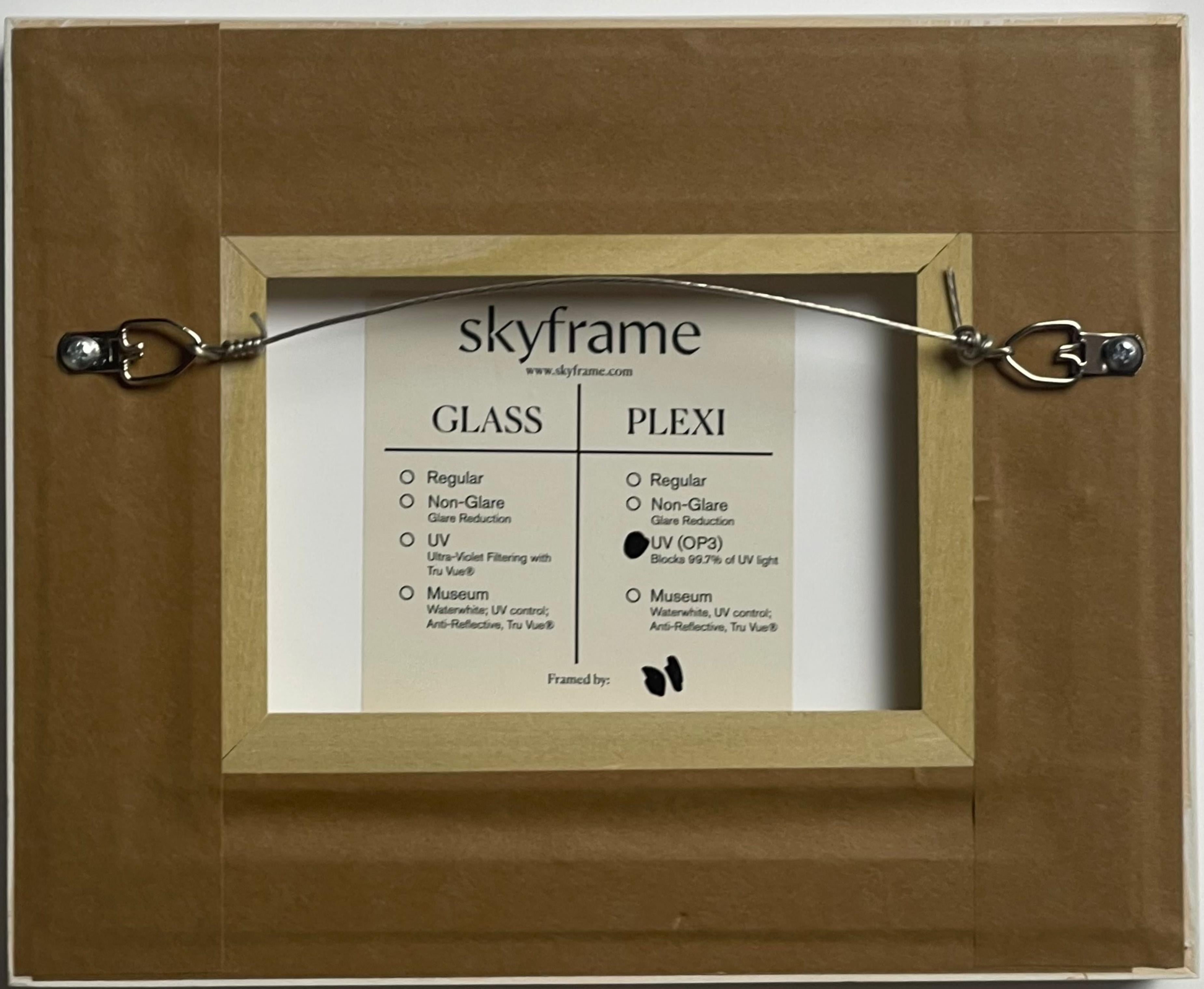 Carte d'art : Reichstag Aerial View, signée à la main par Christo et Jeanne-Claude encadrée - Gris Figurative Print par Christo and Jeanne-Claude