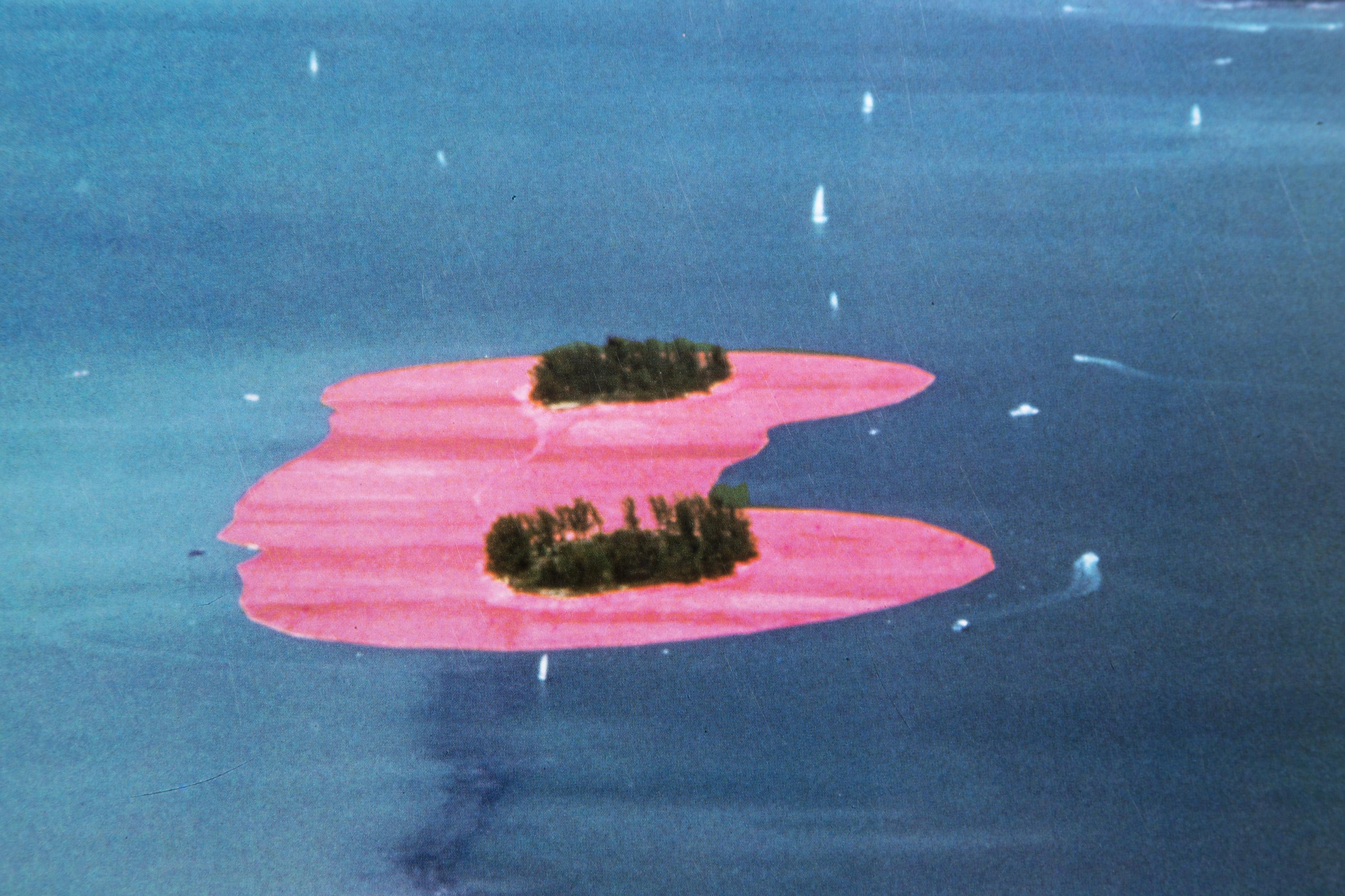 Surrounded Islands, Poster, signed in marker by Christo and Jeanne-Claude For Sale 1