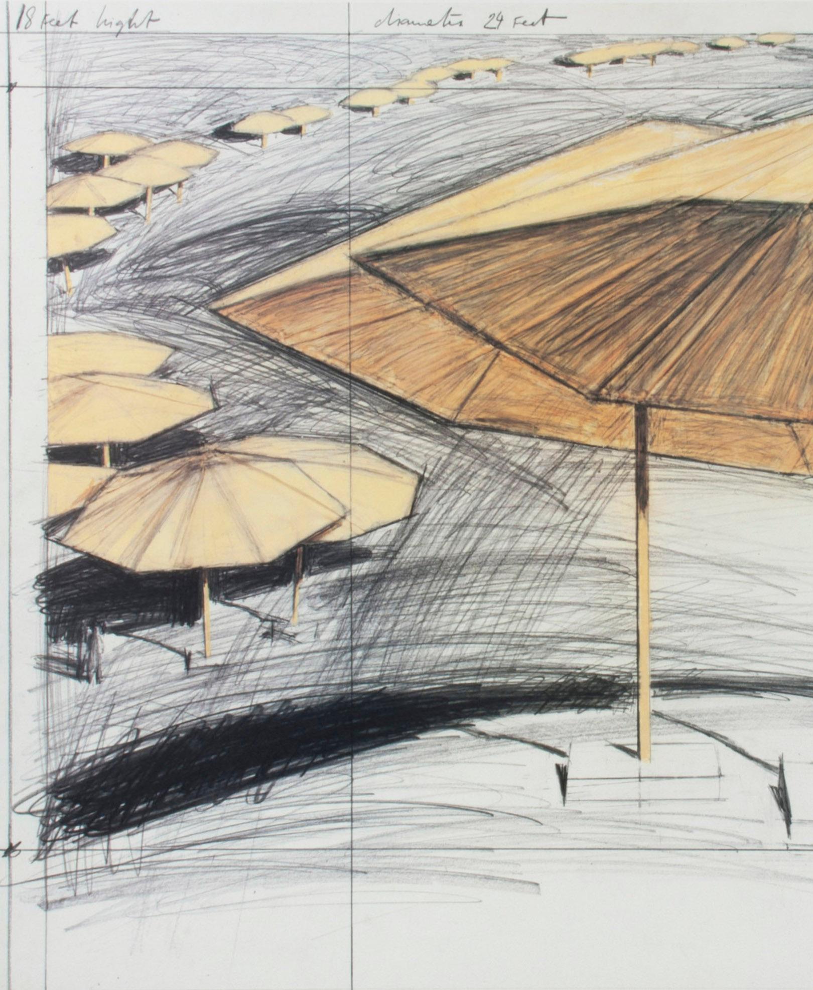 christo umbrella death