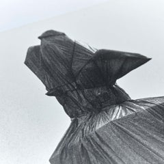 Christo Photograph W.M.-7, 1975