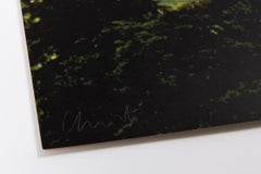 Christo, 5600 Cubicmeter Package (Monuments) - Signed Print