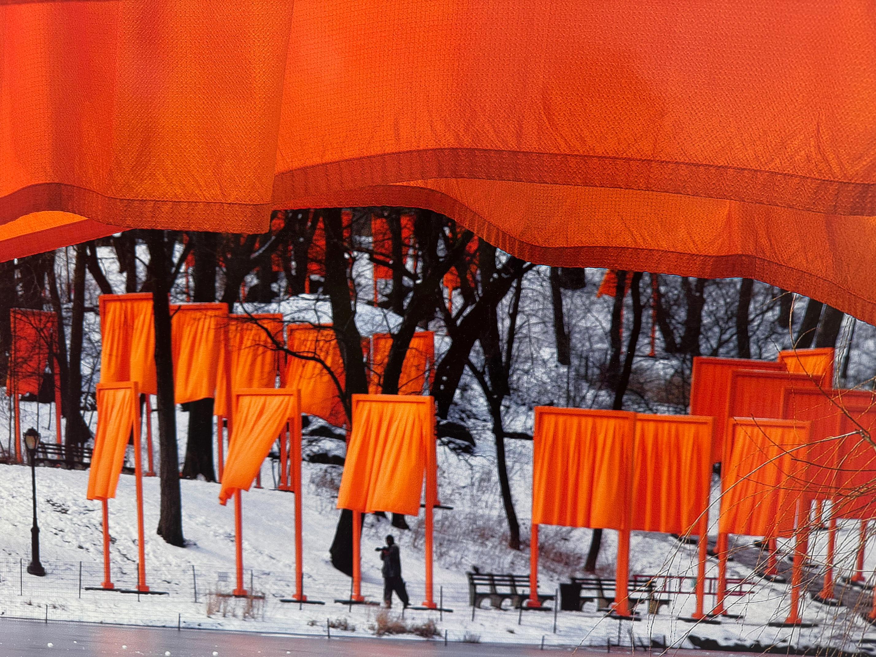 The Gates - original Christo modern art photograph New York Central Park For Sale 2