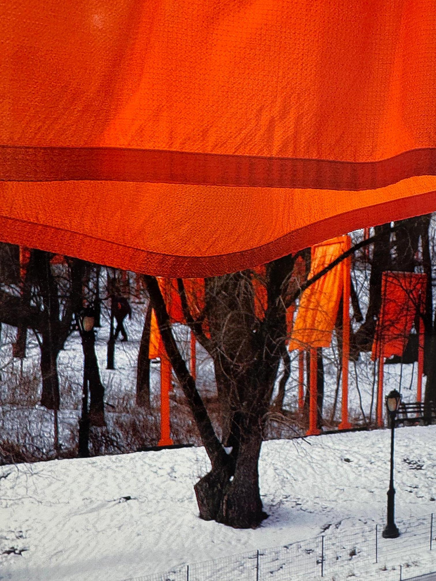 The Gates - original Christo modern art photograph New York Central Park For Sale 3
