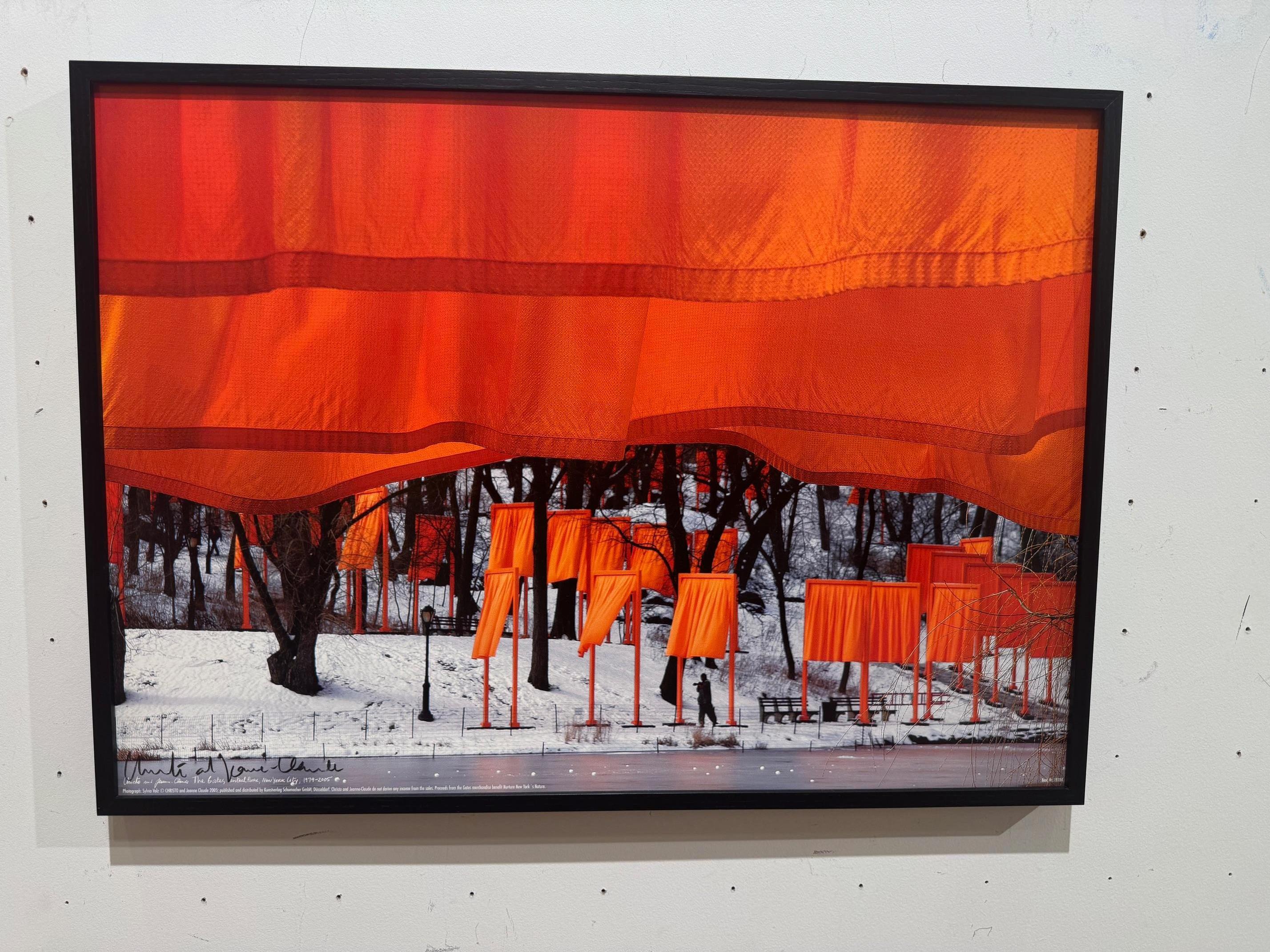 The Gates - original Christo modern art photograph New York Central Park For Sale 7