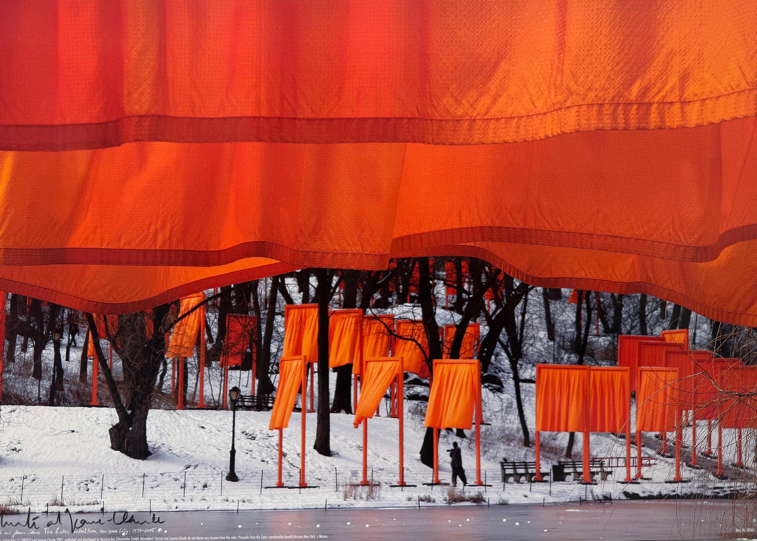 The Gates - original Christo modern art photograph New York Central Park